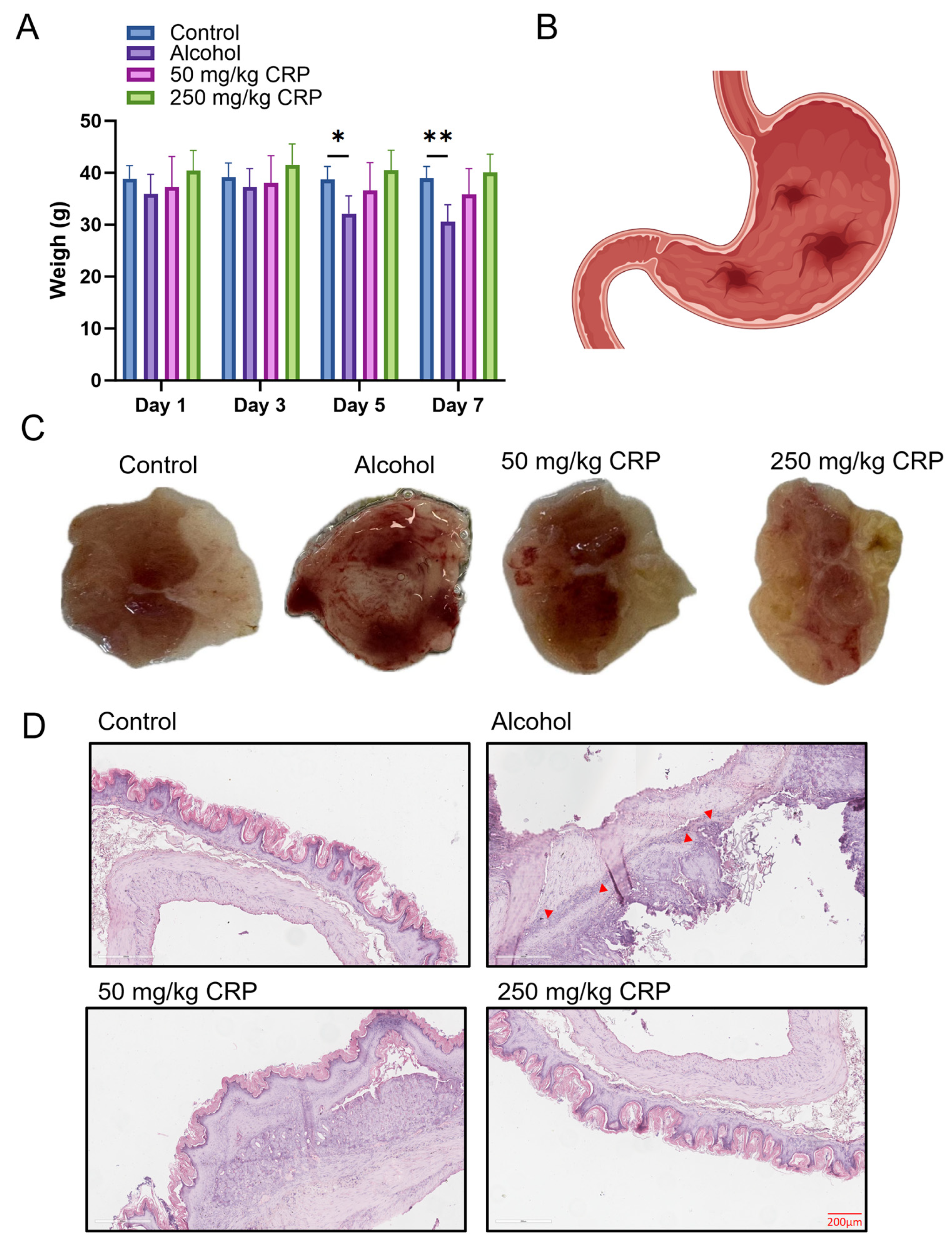 Nutrients 17 02062 g003
