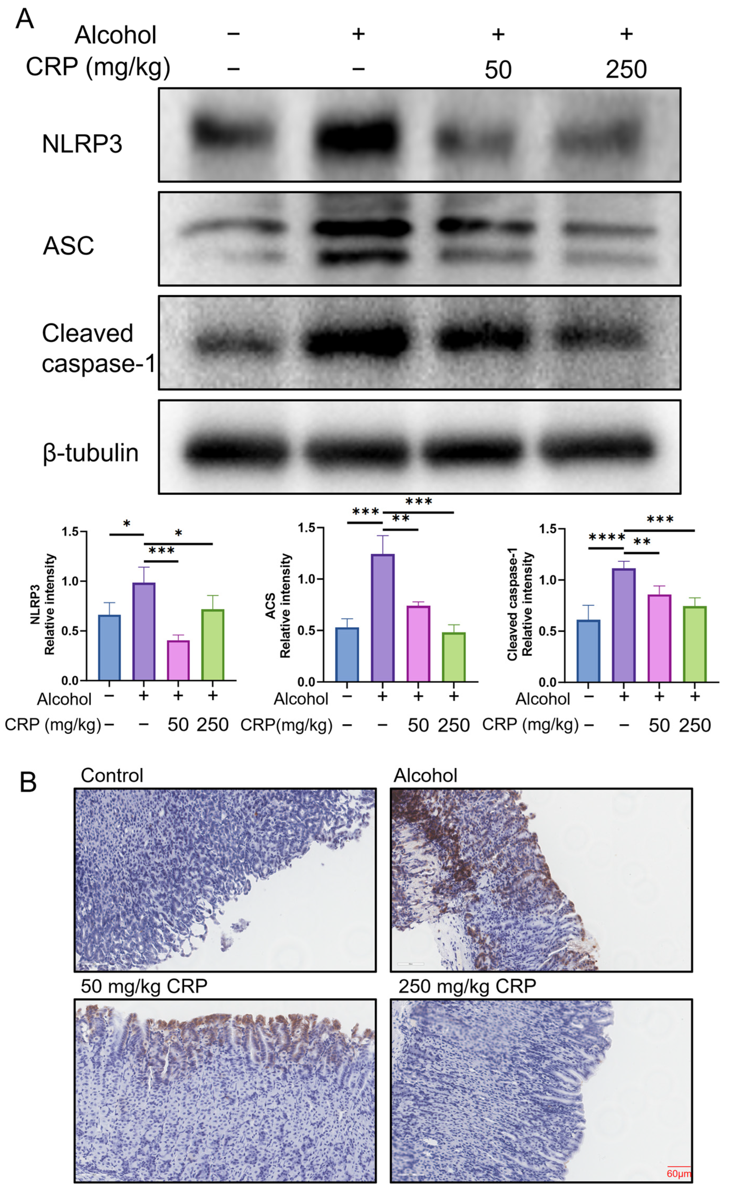Nutrients 17 02062 g005