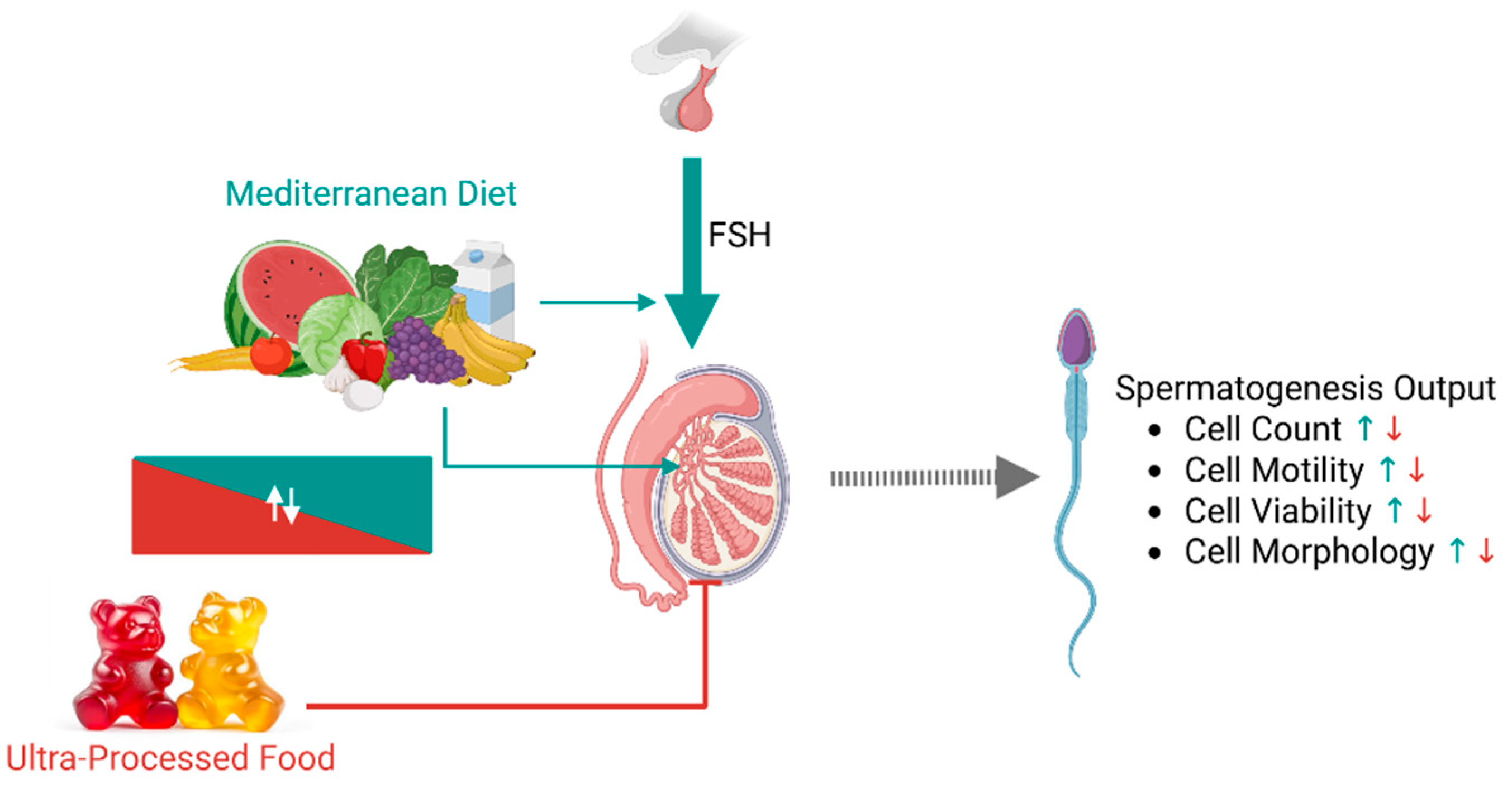 Nutrients 17 02066 g006