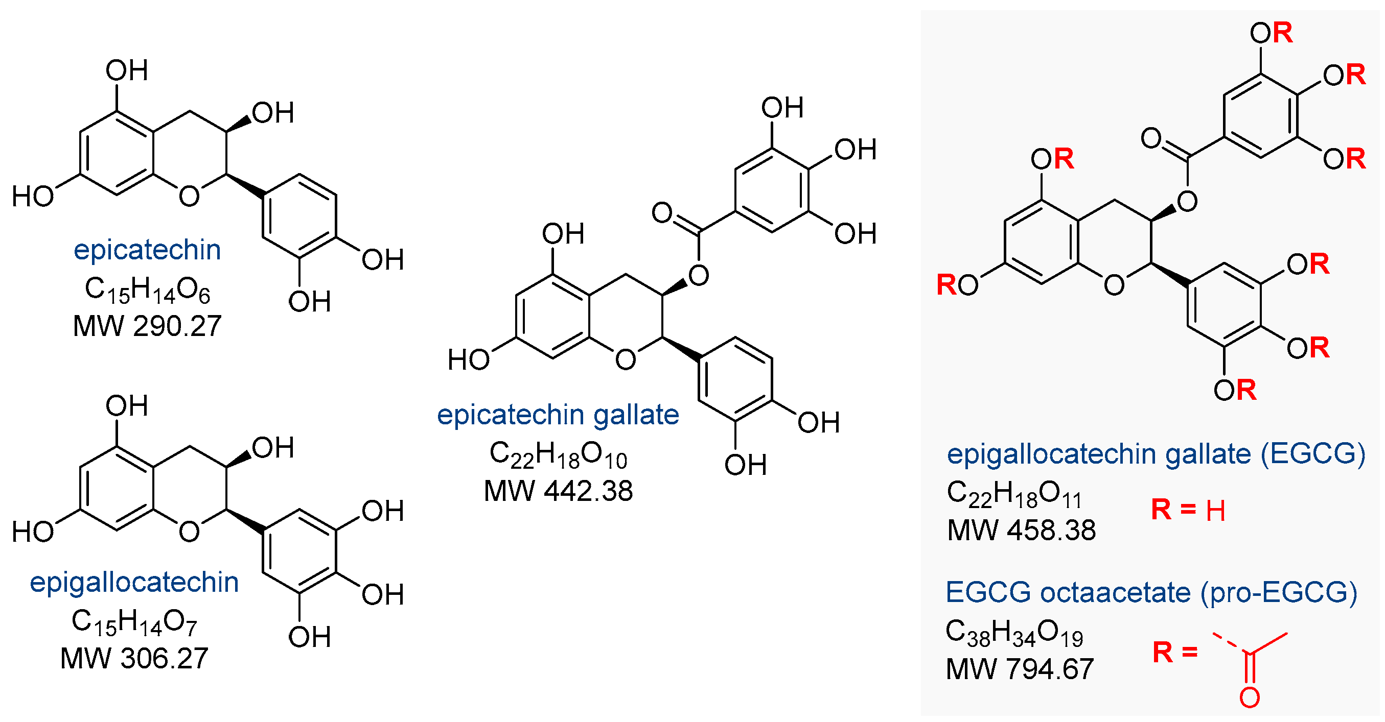 Nutrients 17 02068 g003