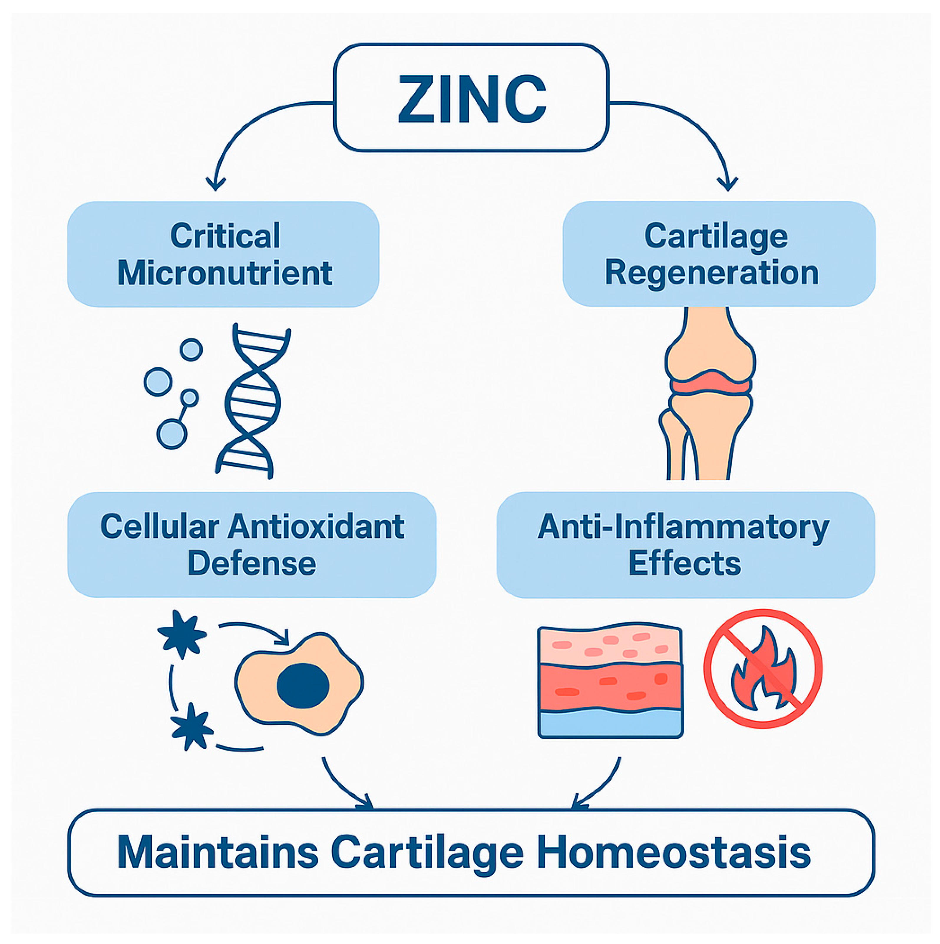 Nutrients 17 02069 g001