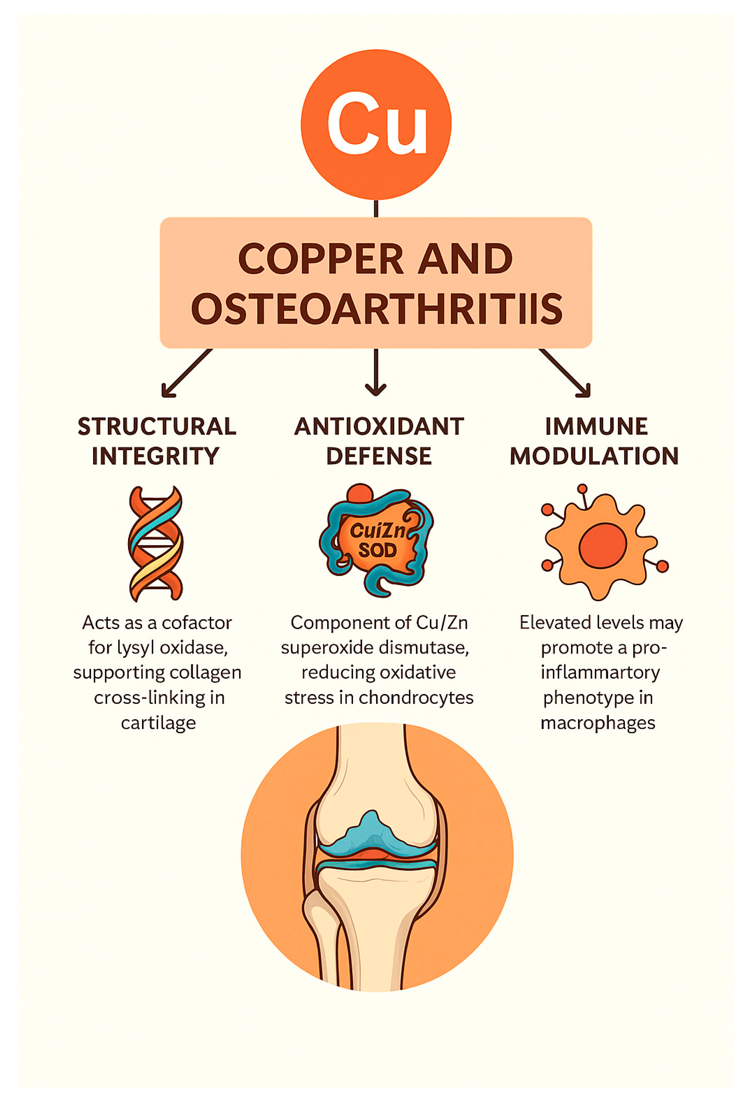 Nutrients 17 02069 g002