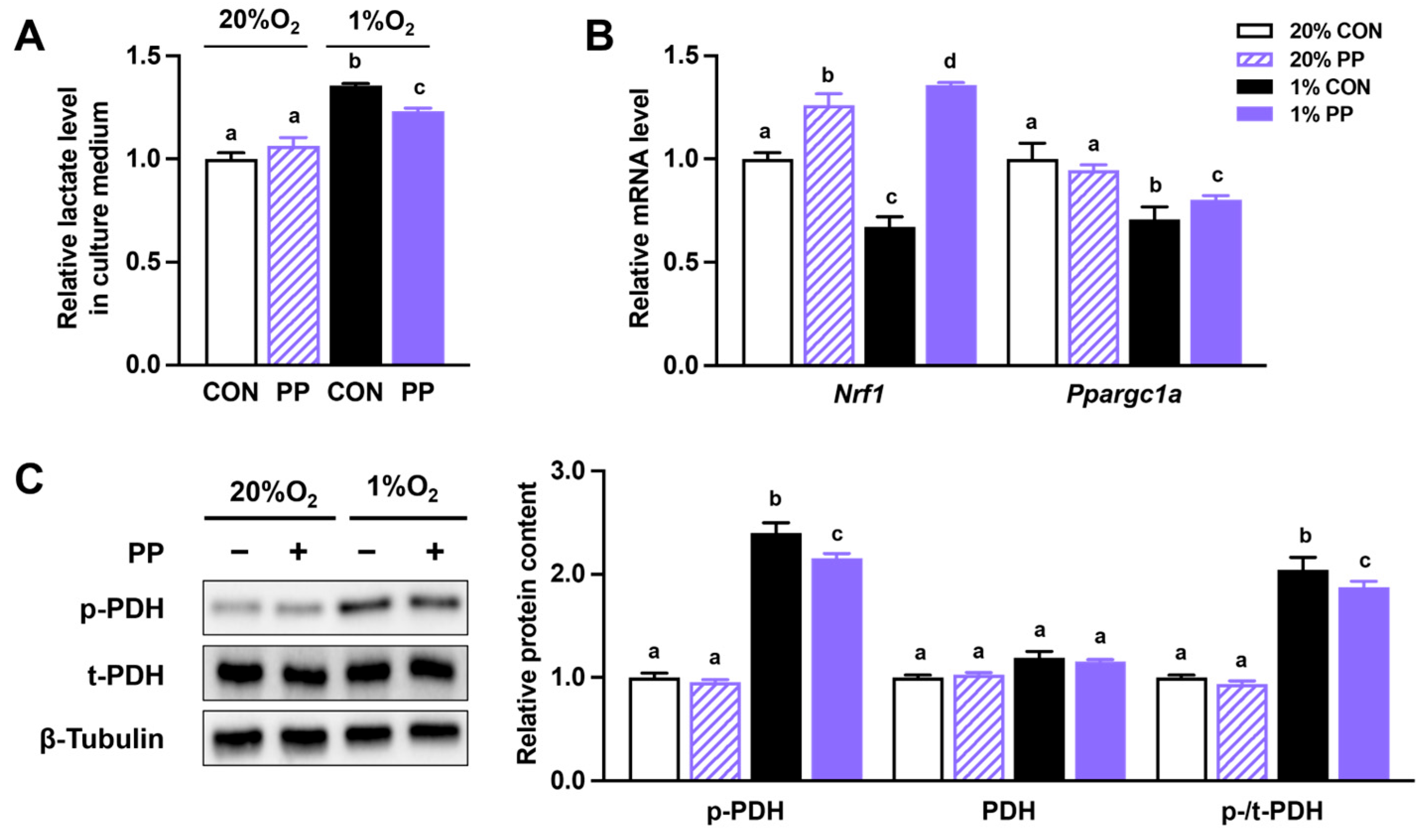 Nutrients 17 02079 g001