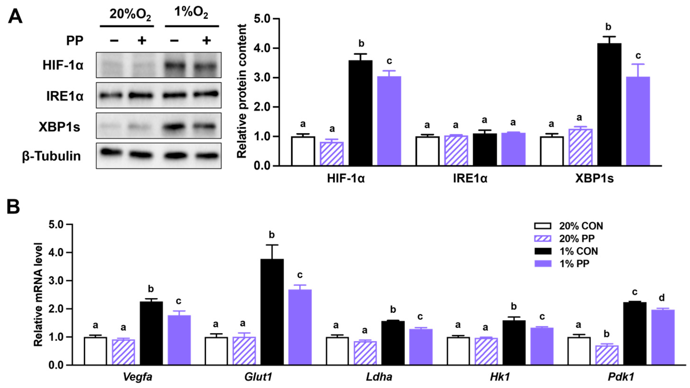 Nutrients 17 02079 g002