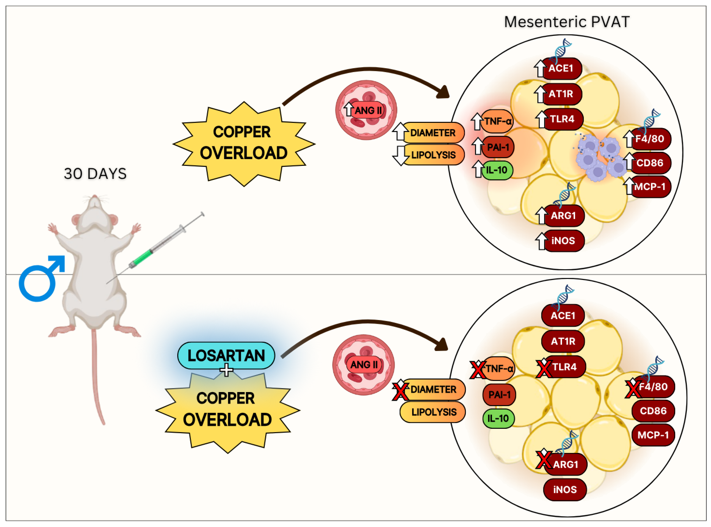 Nutrients 17 02082 g006