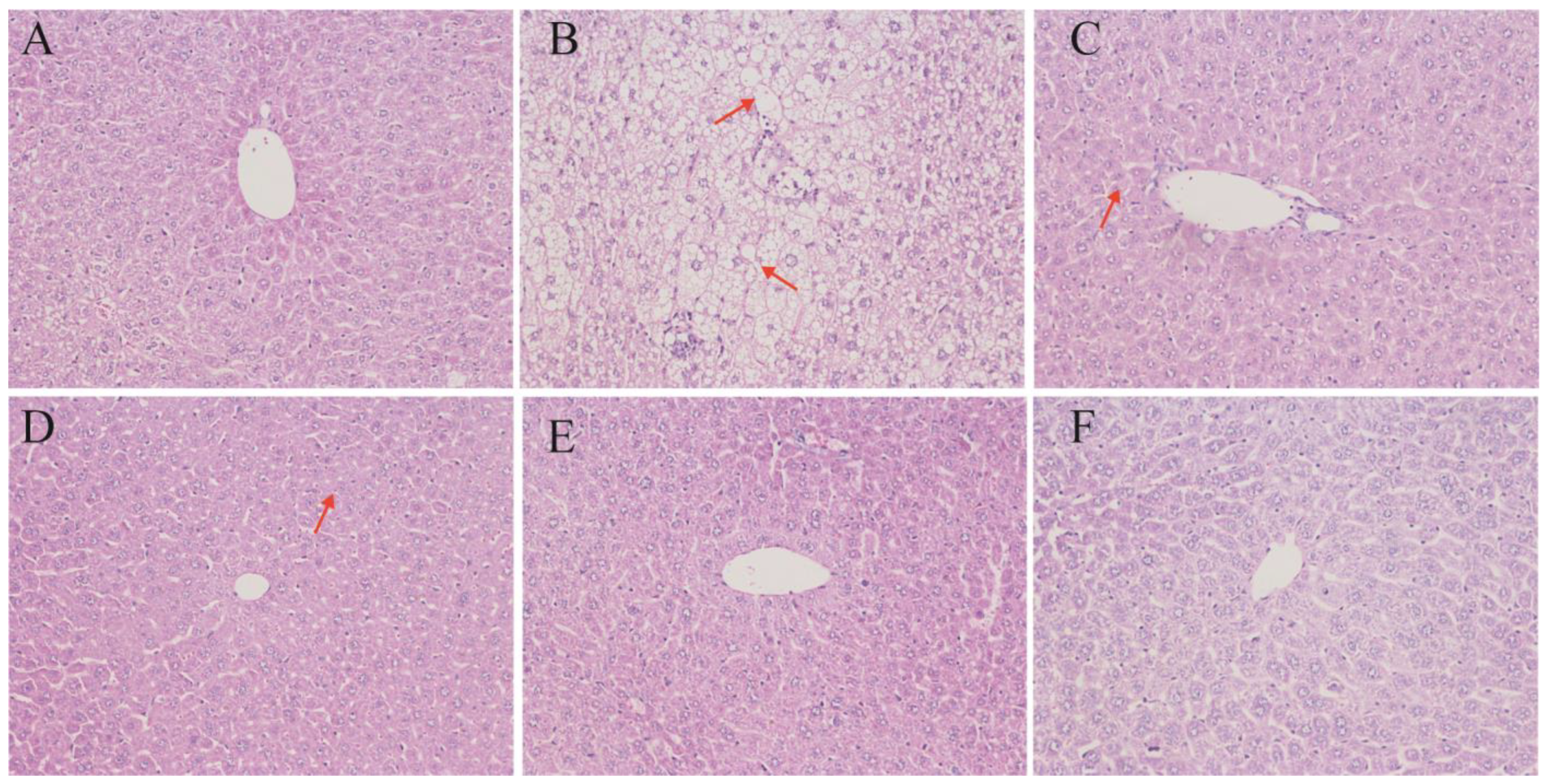 Nutrients 17 02086 g003