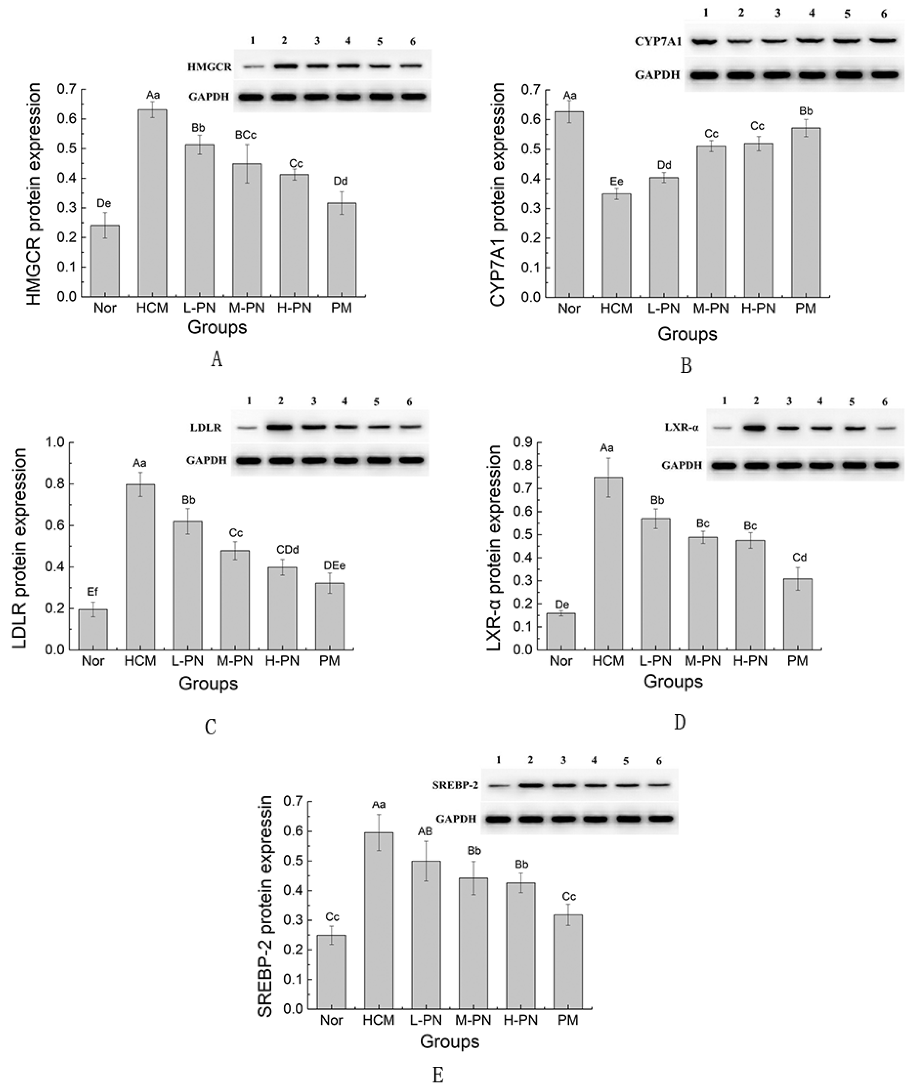 Nutrients 17 02086 g005