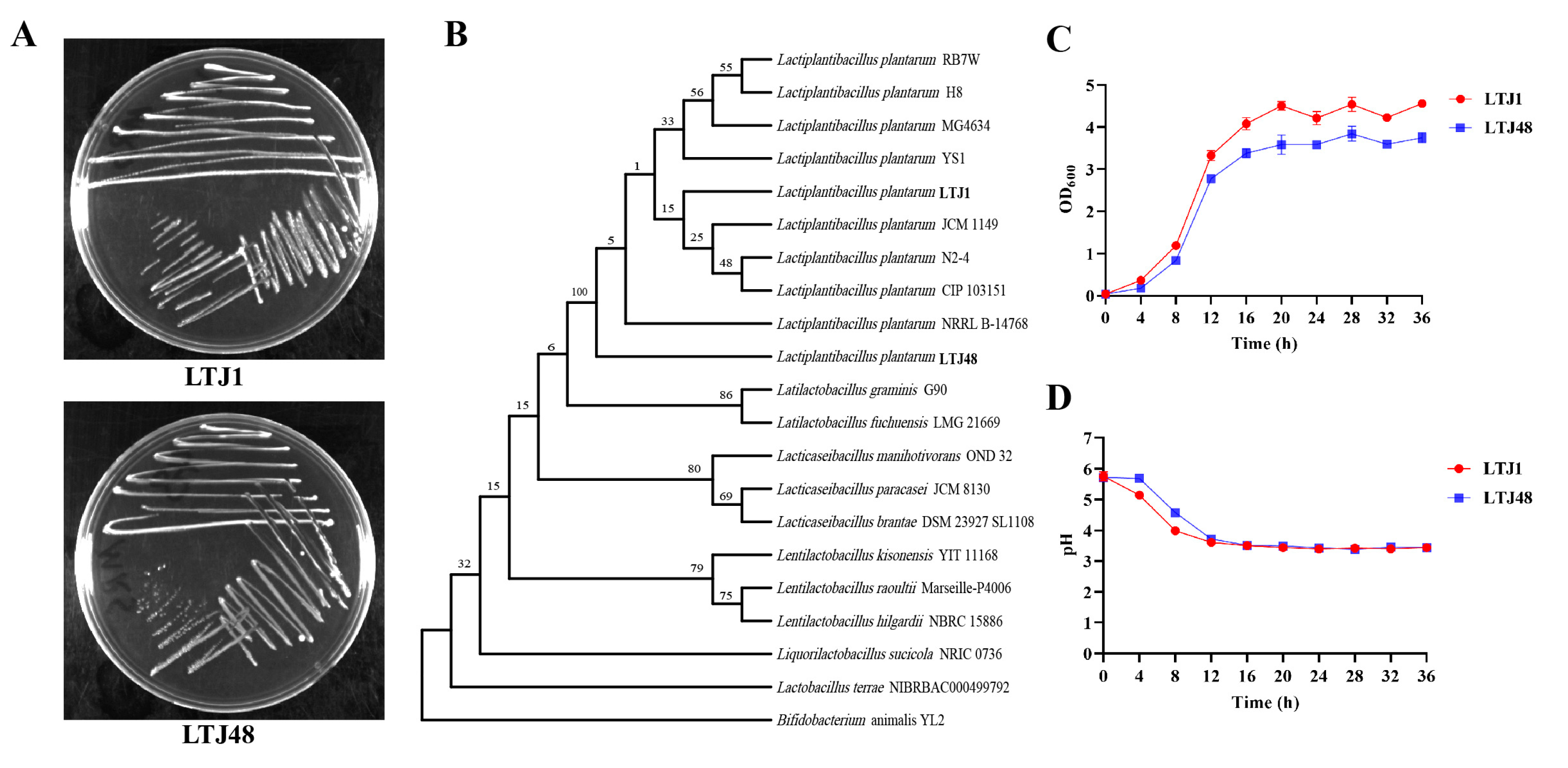 Nutrients 17 02097 g002
