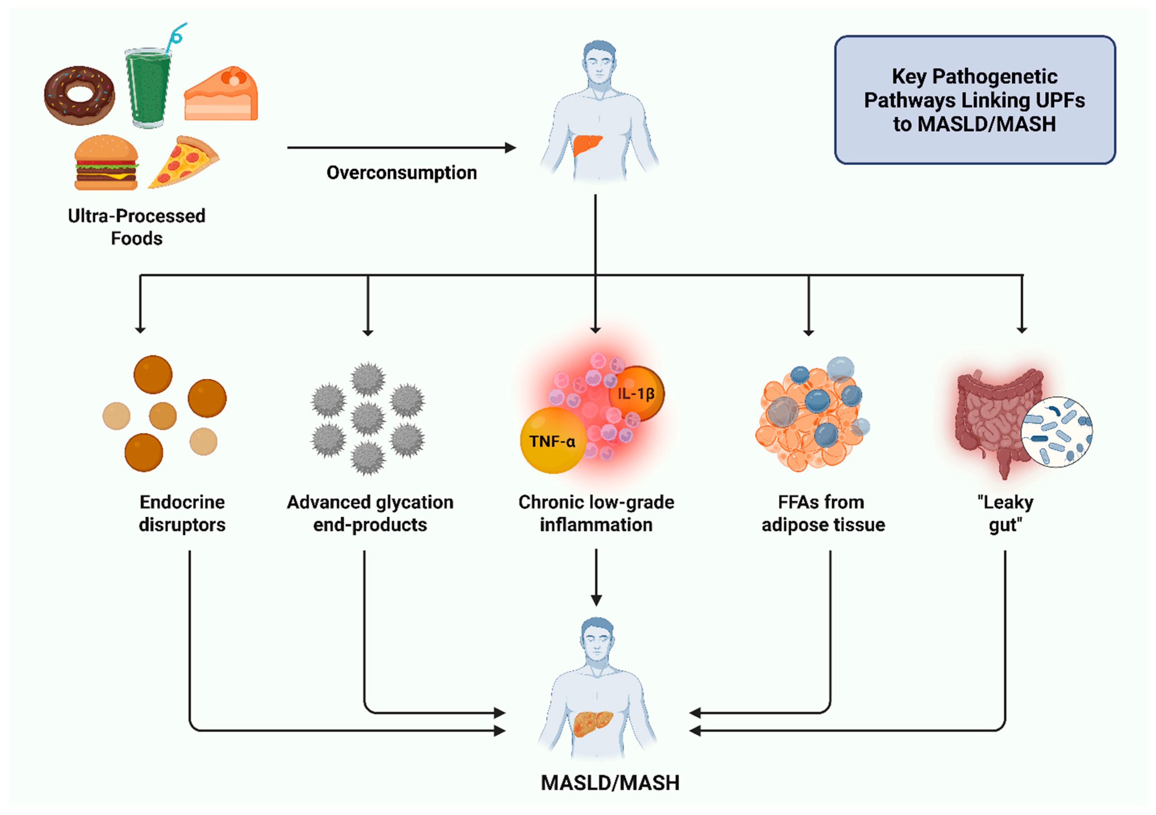 Nutrients 17 02098 g003