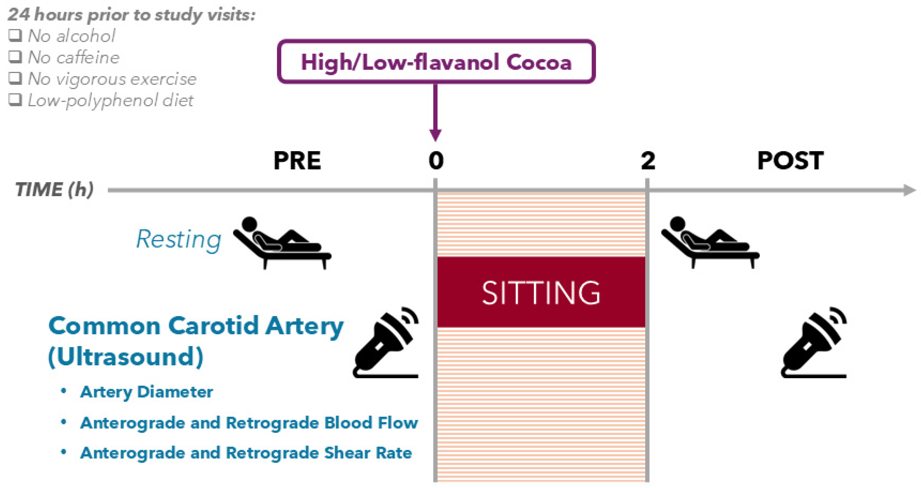 Nutrients 17 02099 g001