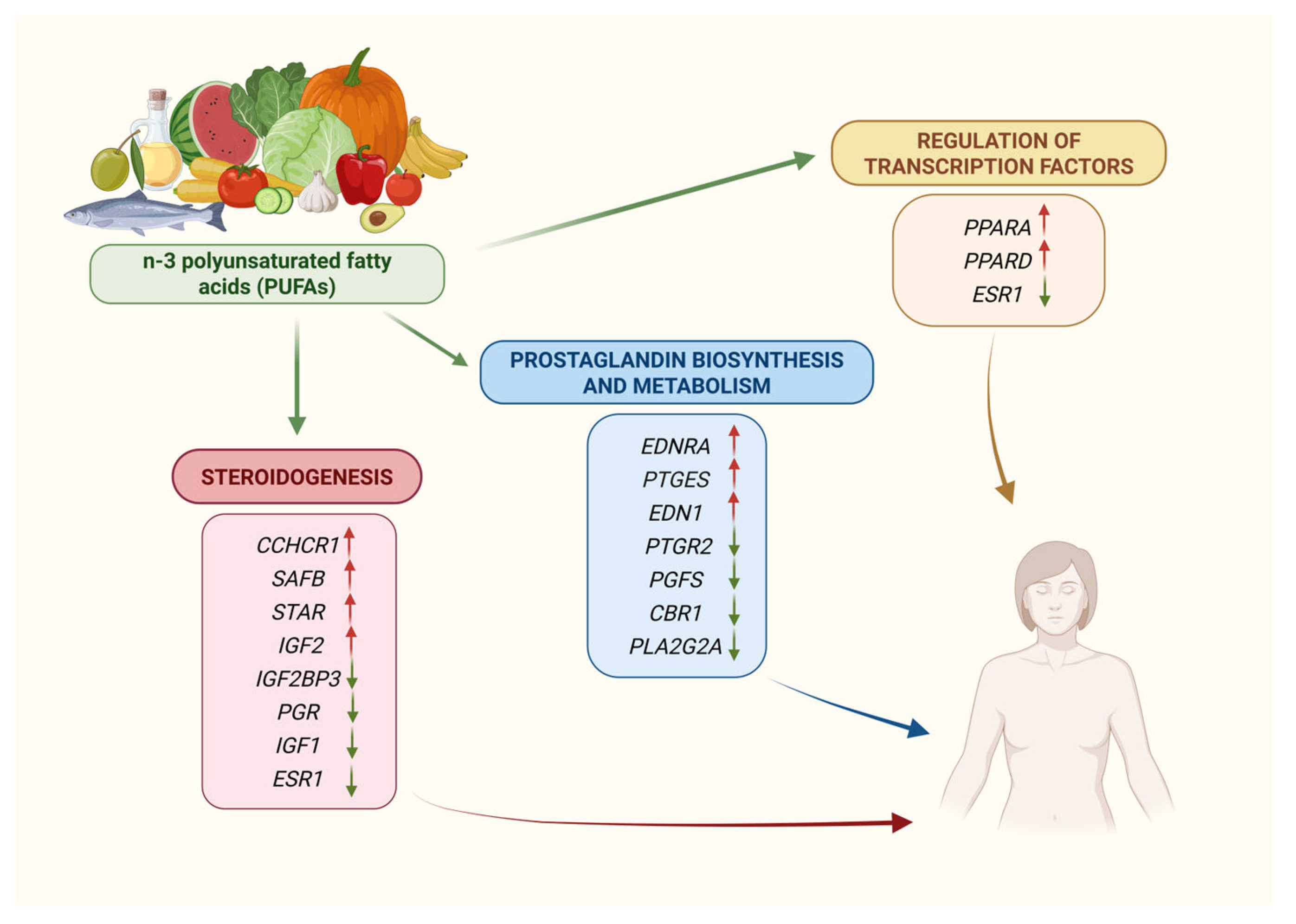 Nutrients 17 02101 g002