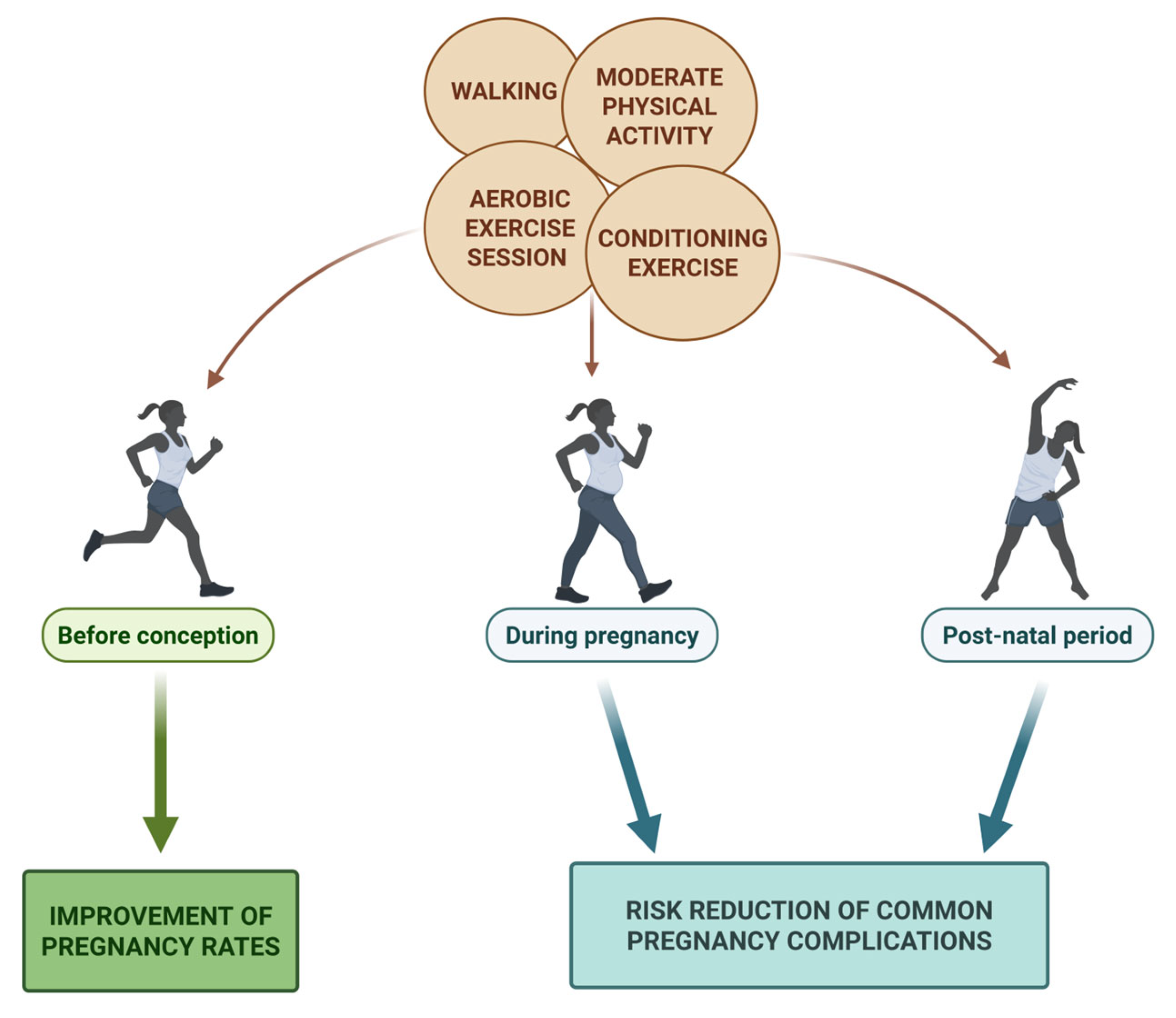 Nutrients 17 02101 g003