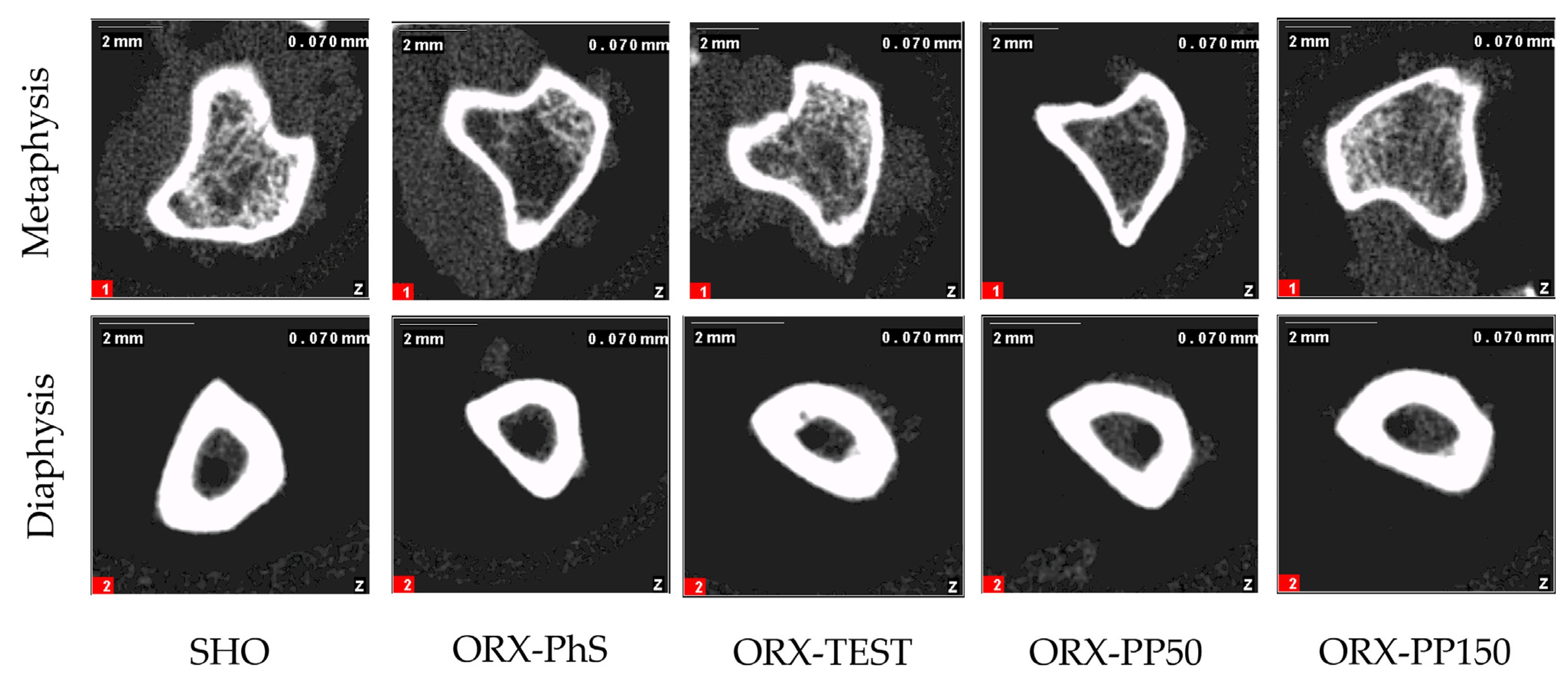 Nutrients 17 02110 g0a1