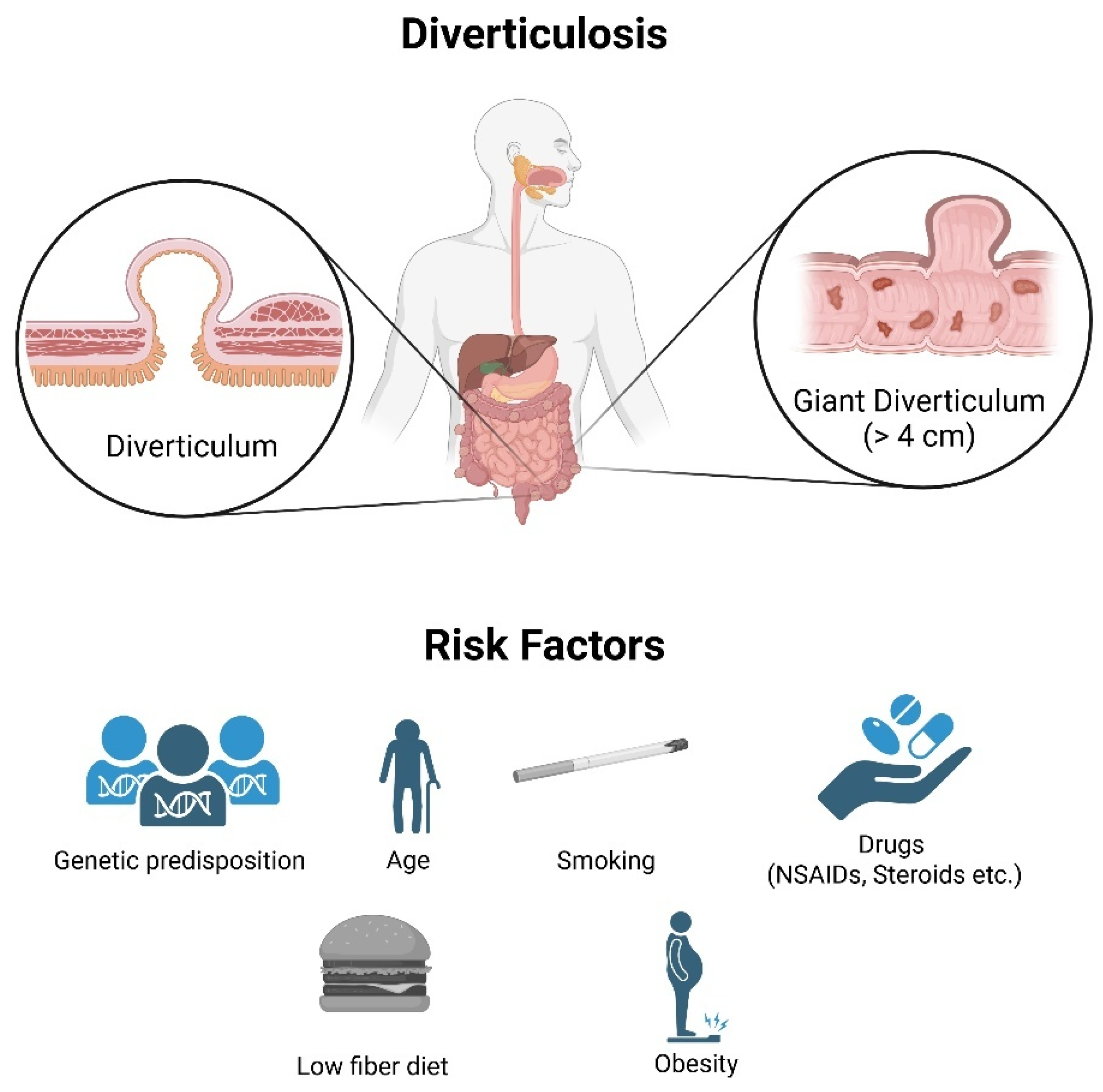 Nutrients 17 02122 g001 Nutrients 17 02122 g001