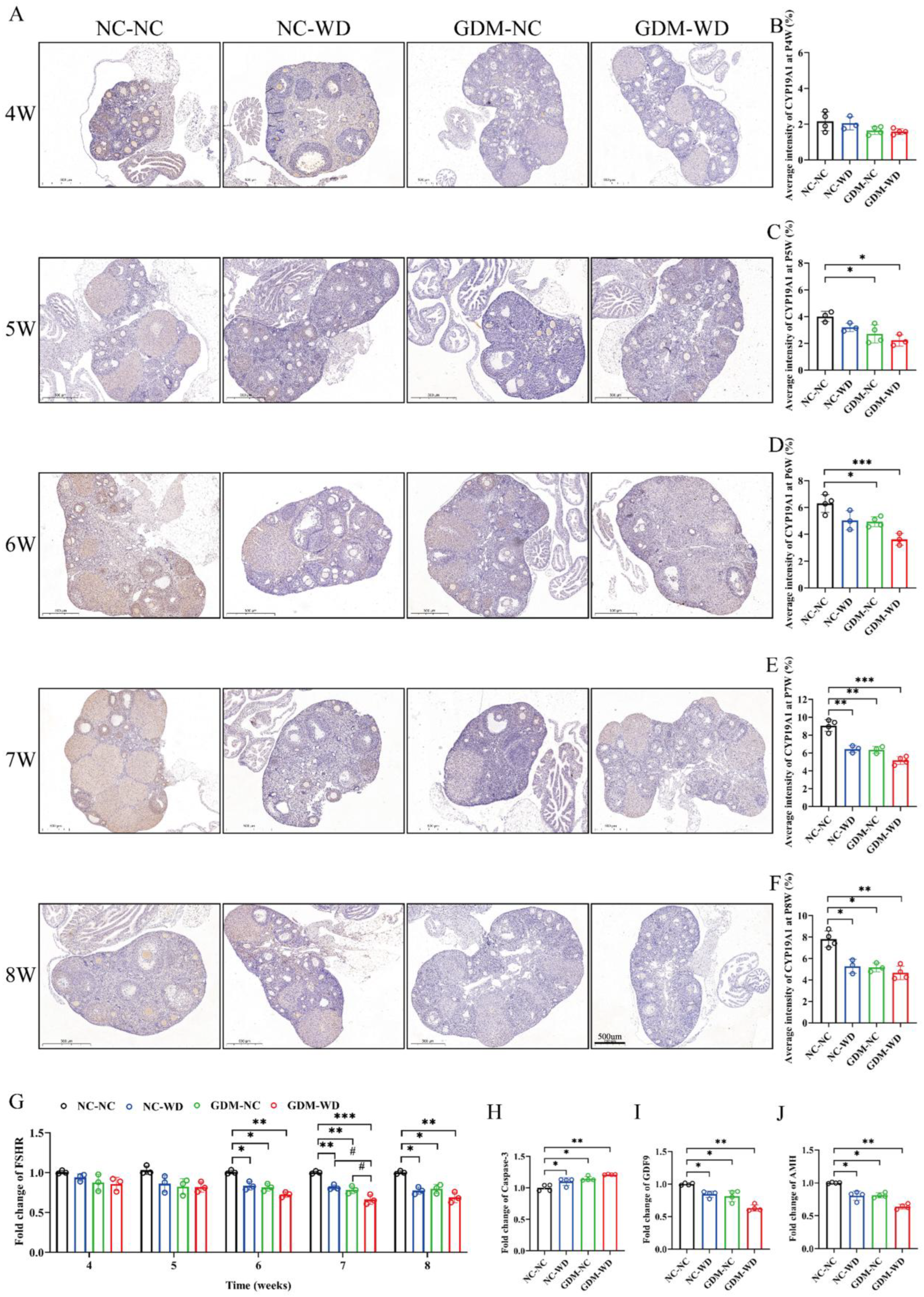 Nutrients 17 02128 g005