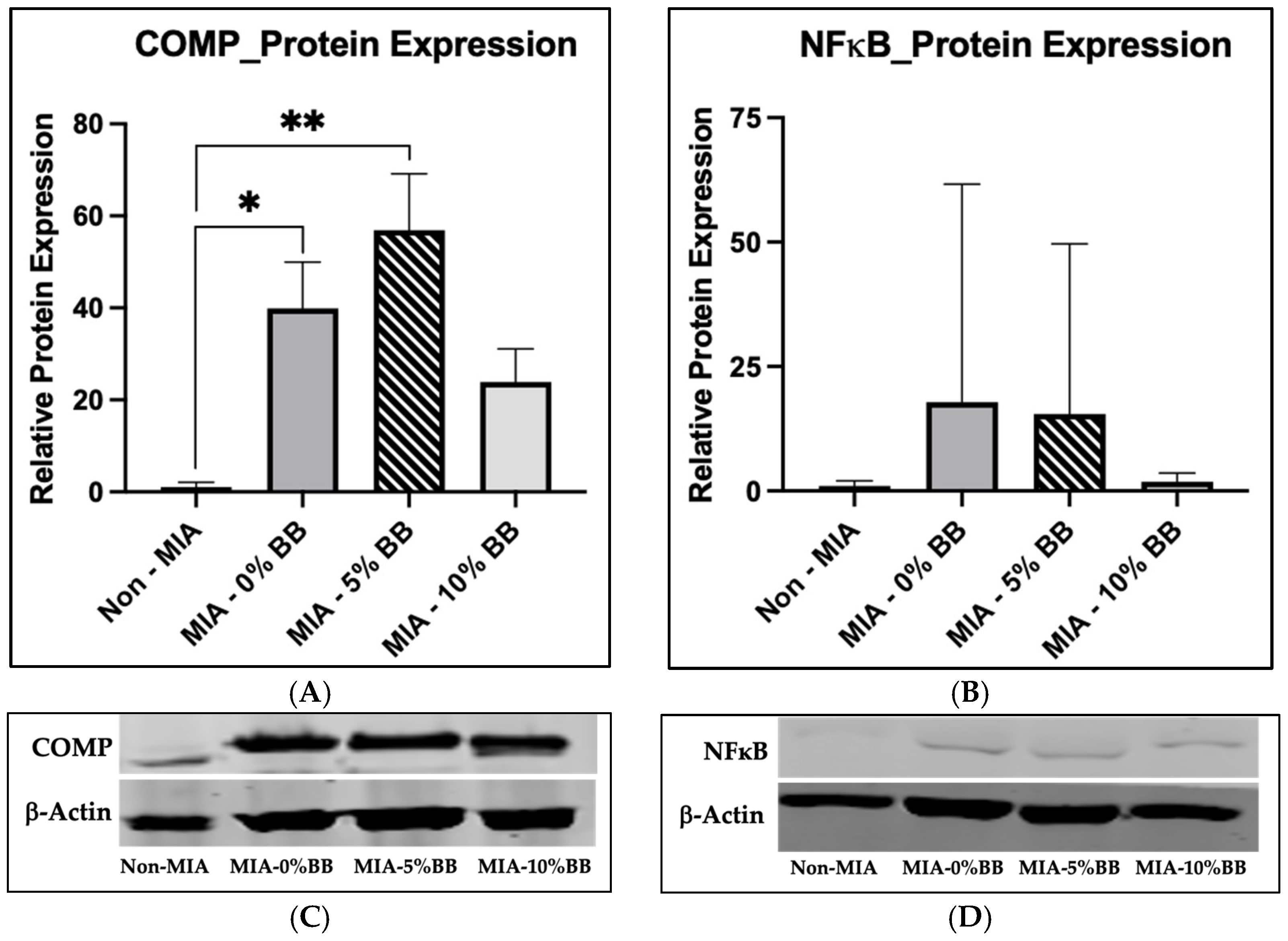 Nutrients 17 02134 g004