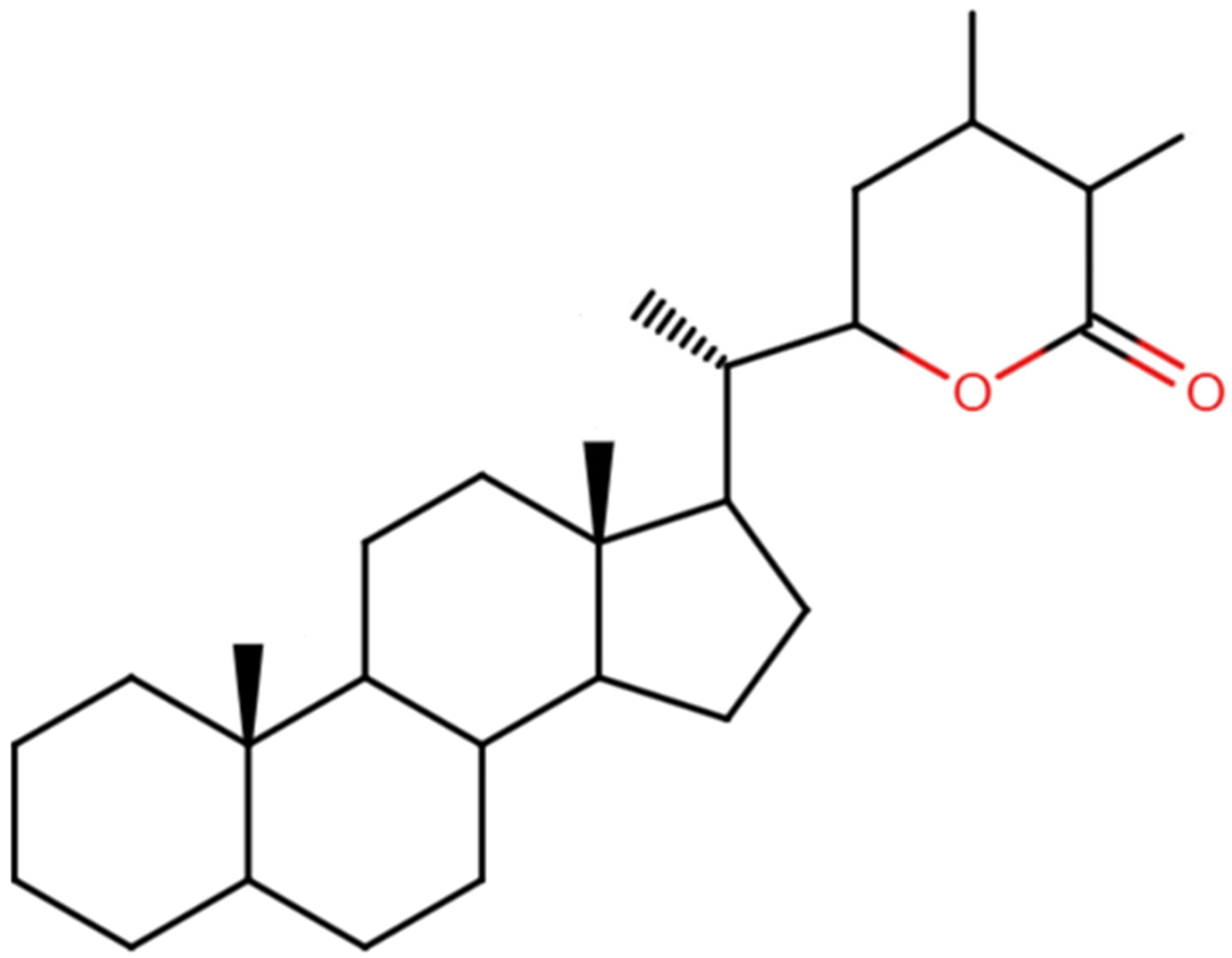 Nutrients 17 02143 g001