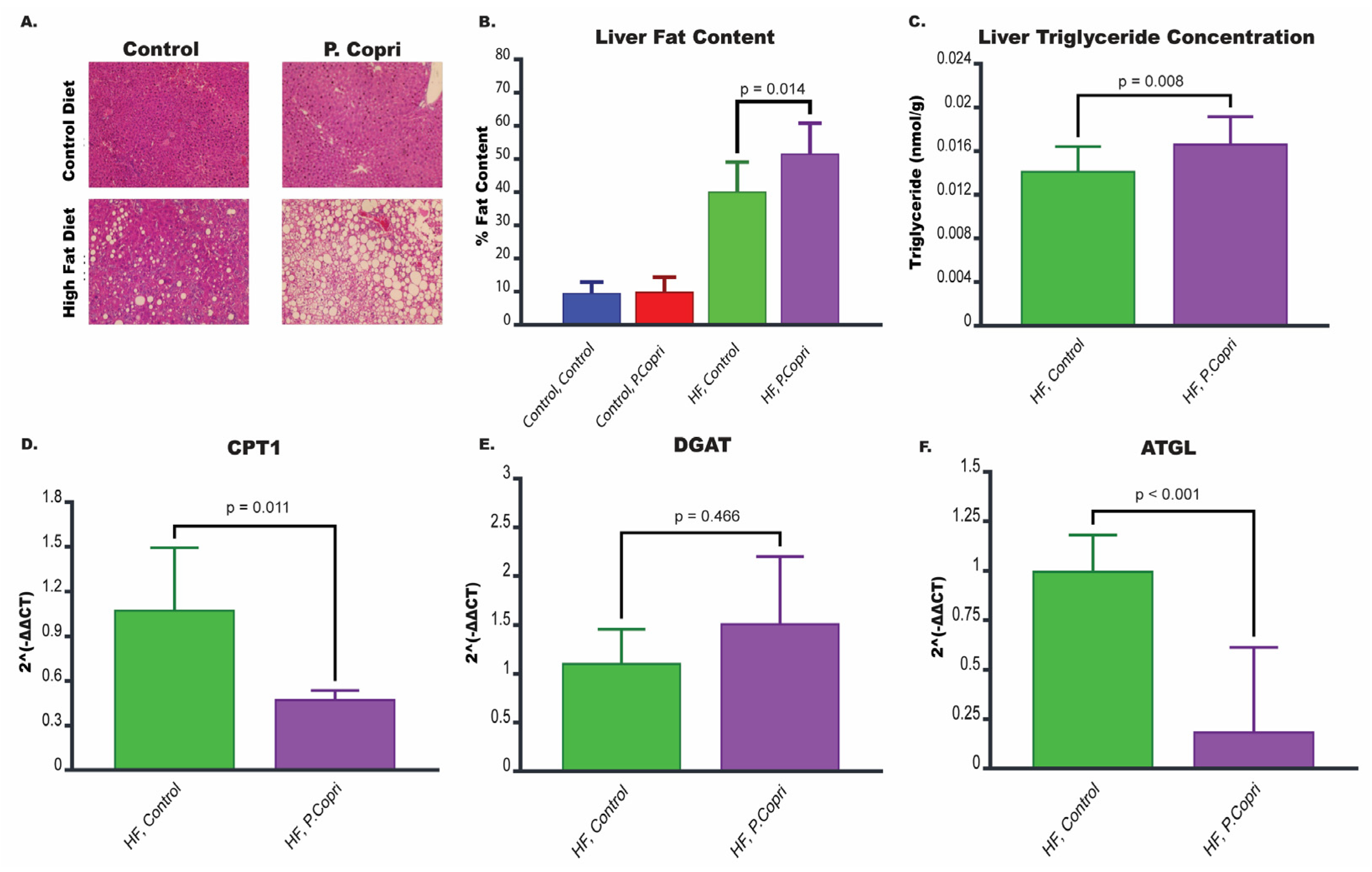 Nutrients 17 02145 g005