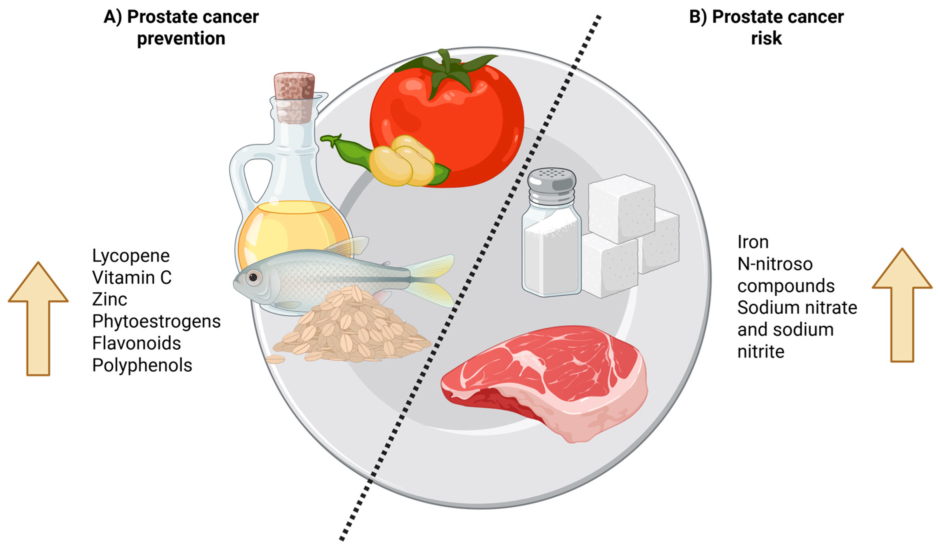 Nutrients 17 02151 g001