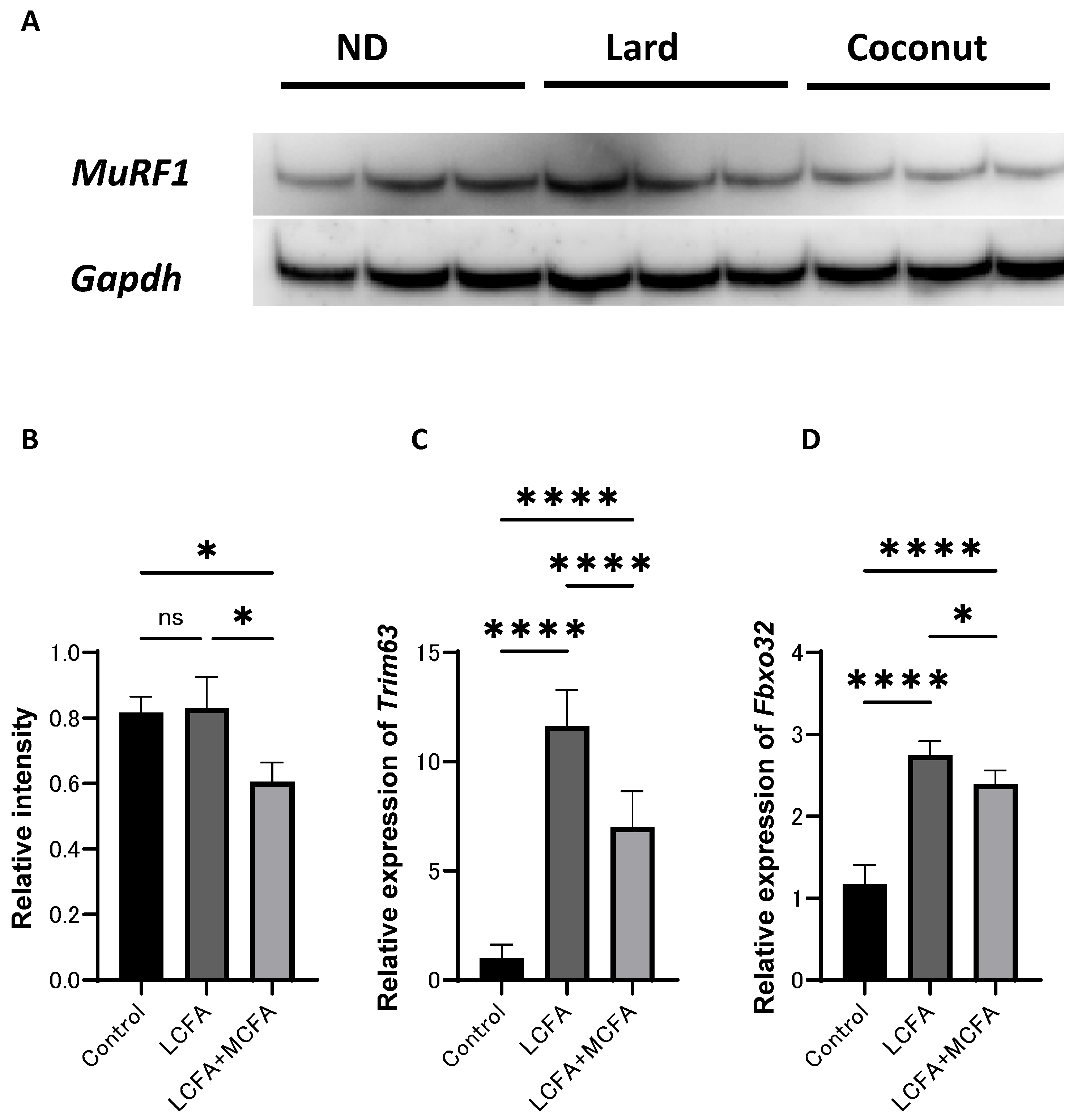 Nutrients 17 02154 g005