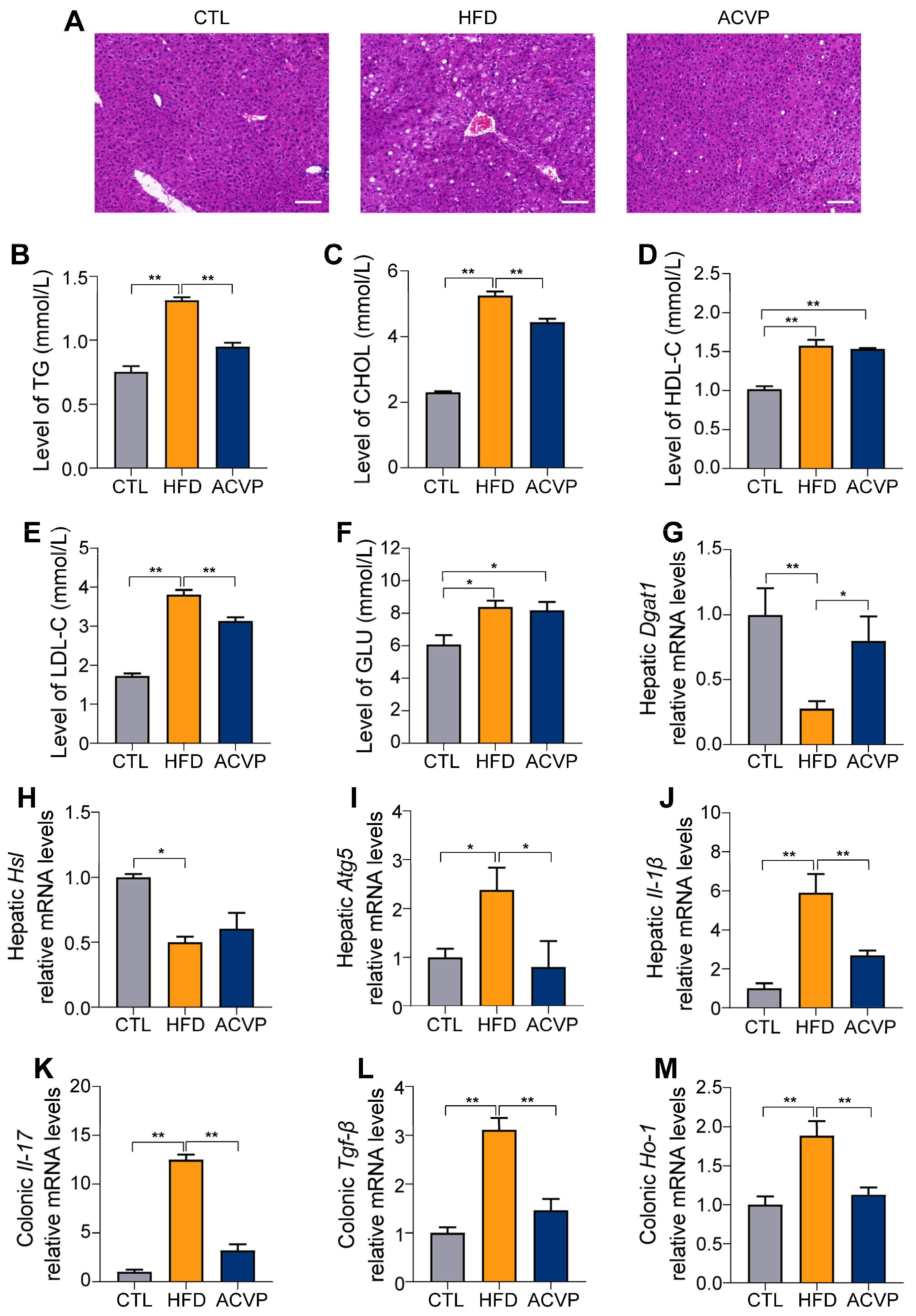 Nutrients 17 02157 g002