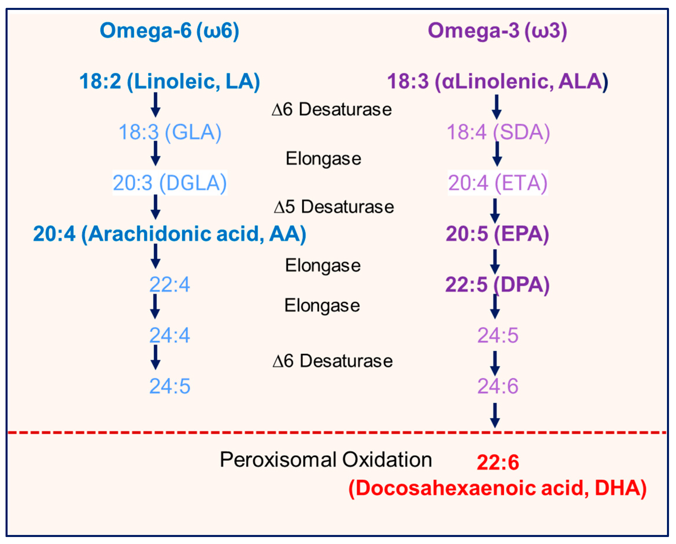 Nutrients 17 02158 g007