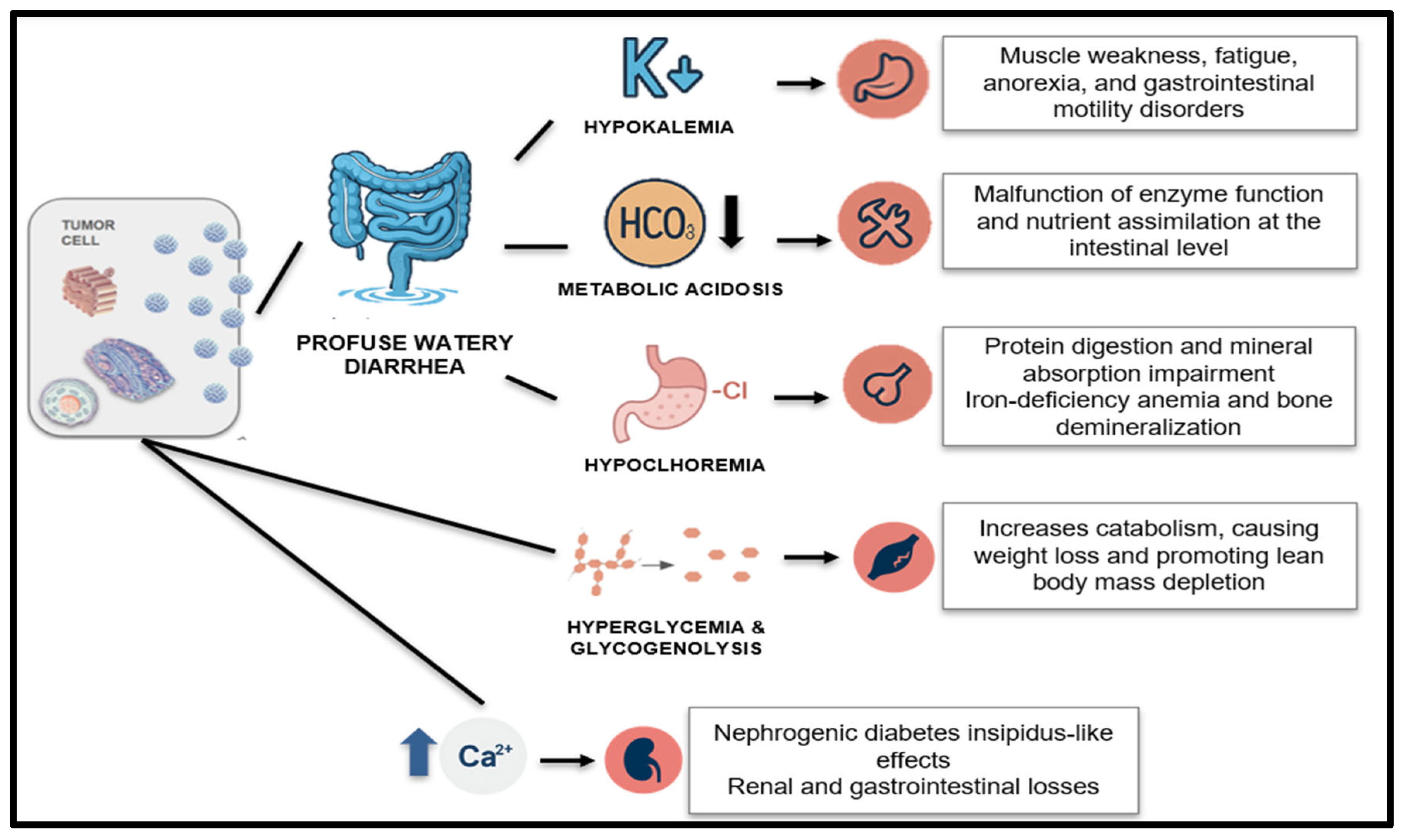 Nutrients 17 02175 g002