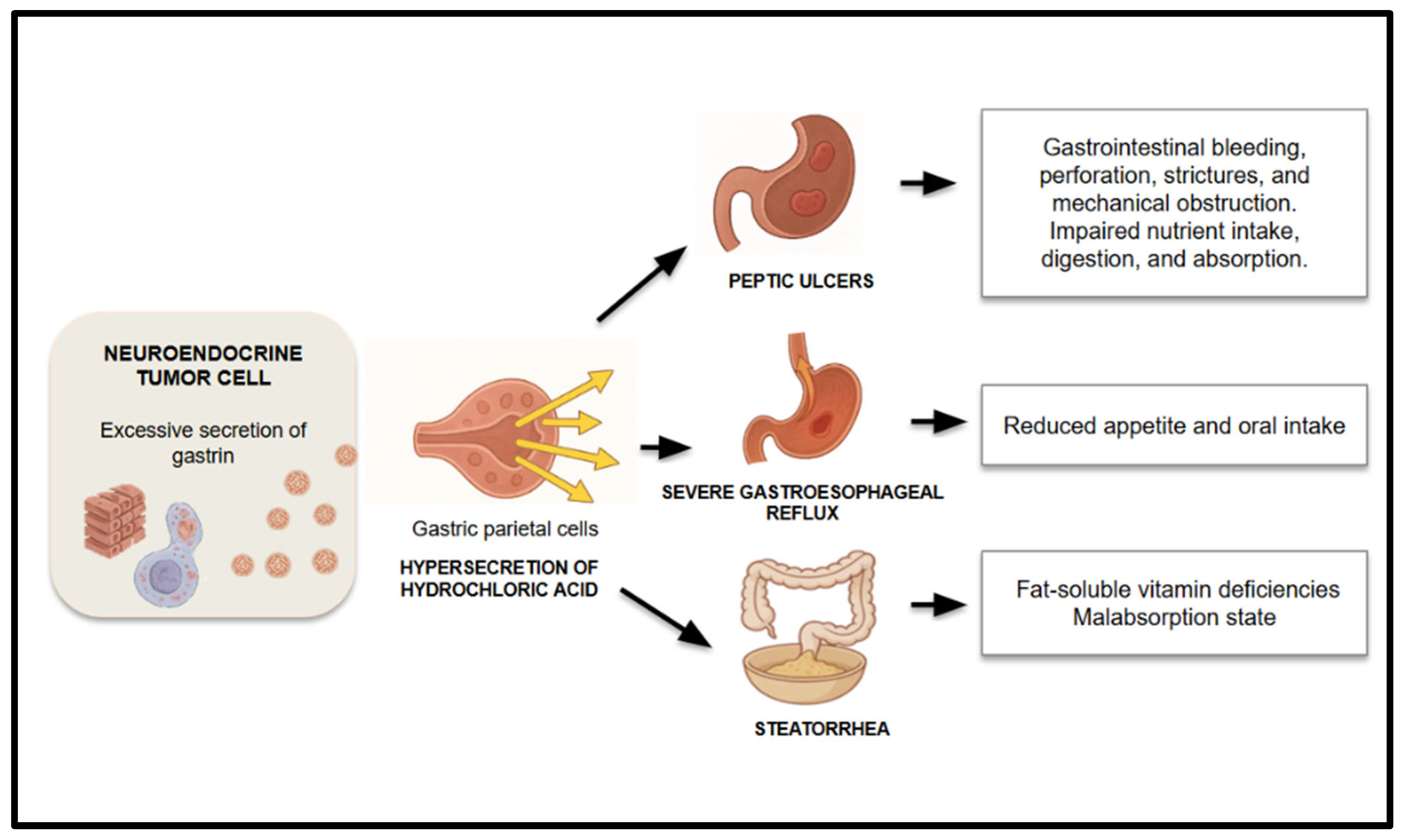 Nutrients 17 02175 g004