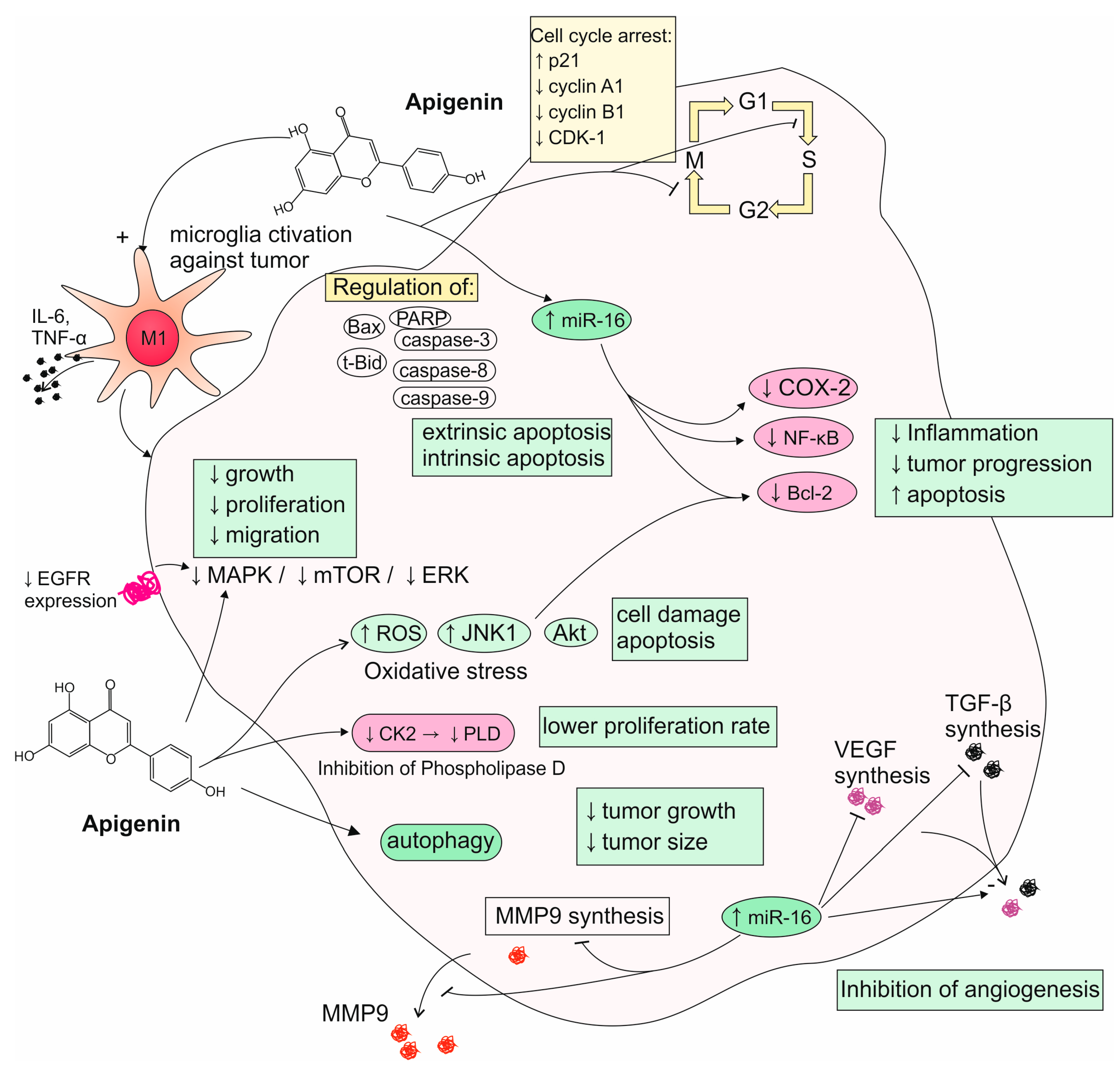 Nutrients 17 02202 g003
