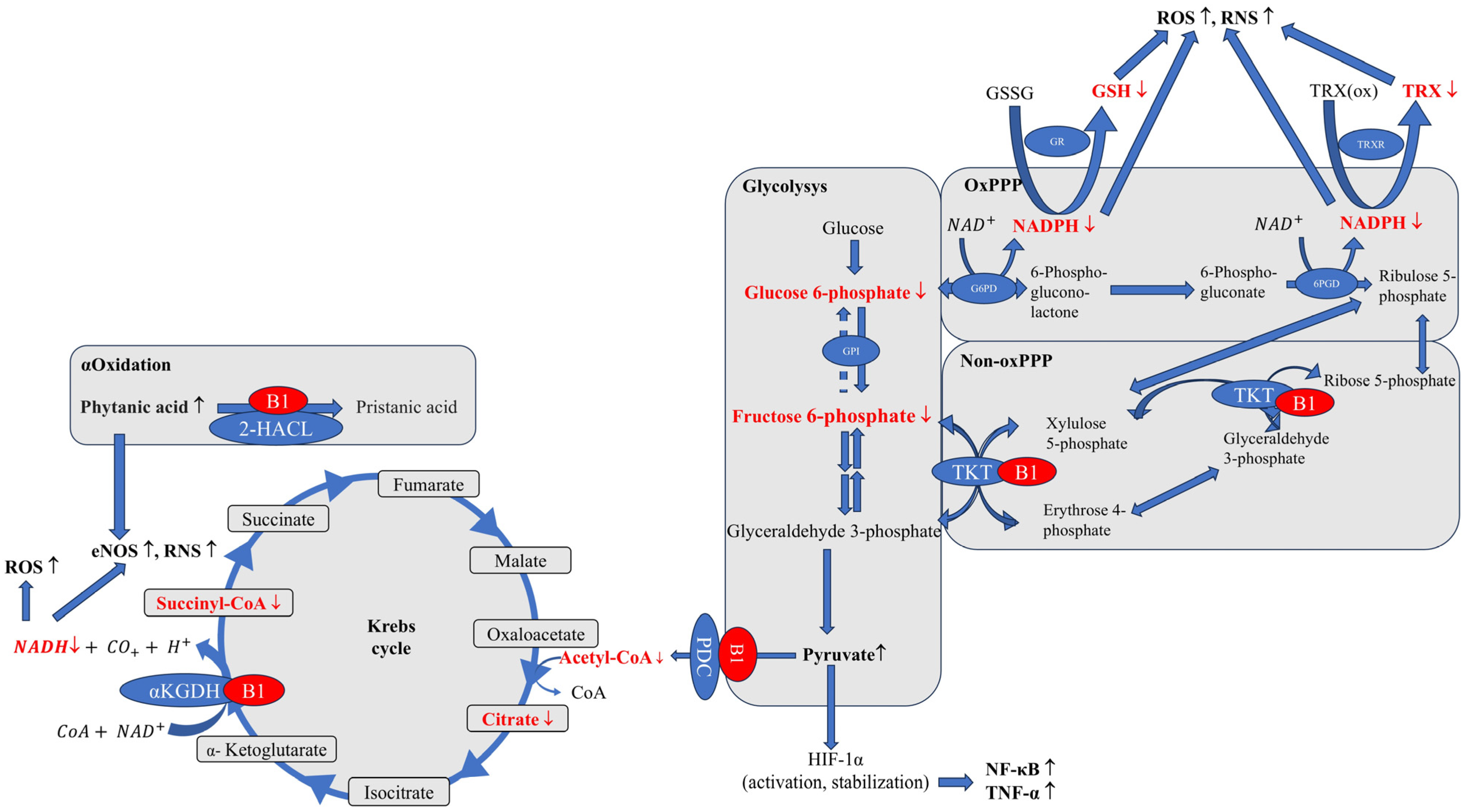 Nutrients 17 02206 g003