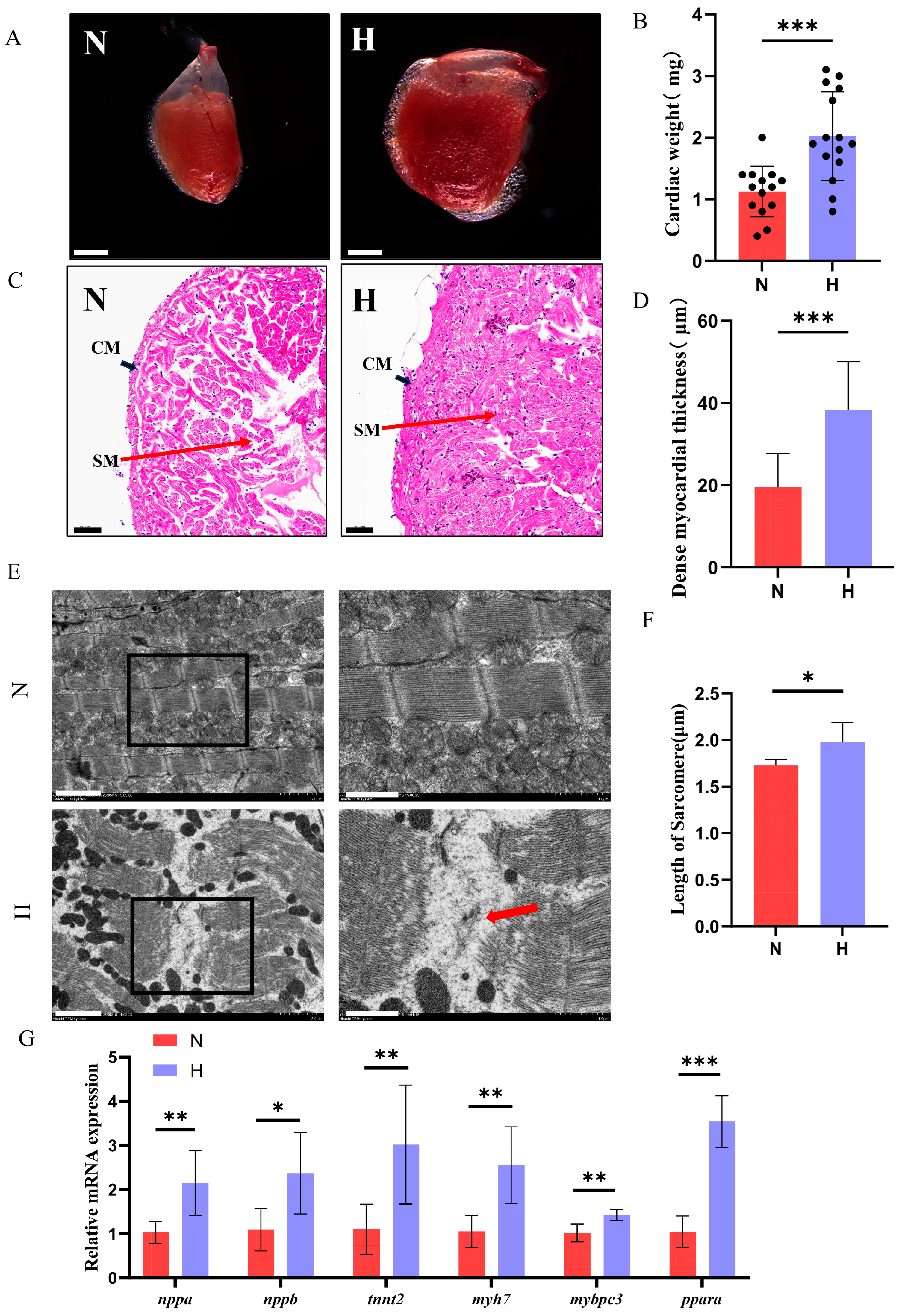 Nutrients 17 02209 g002