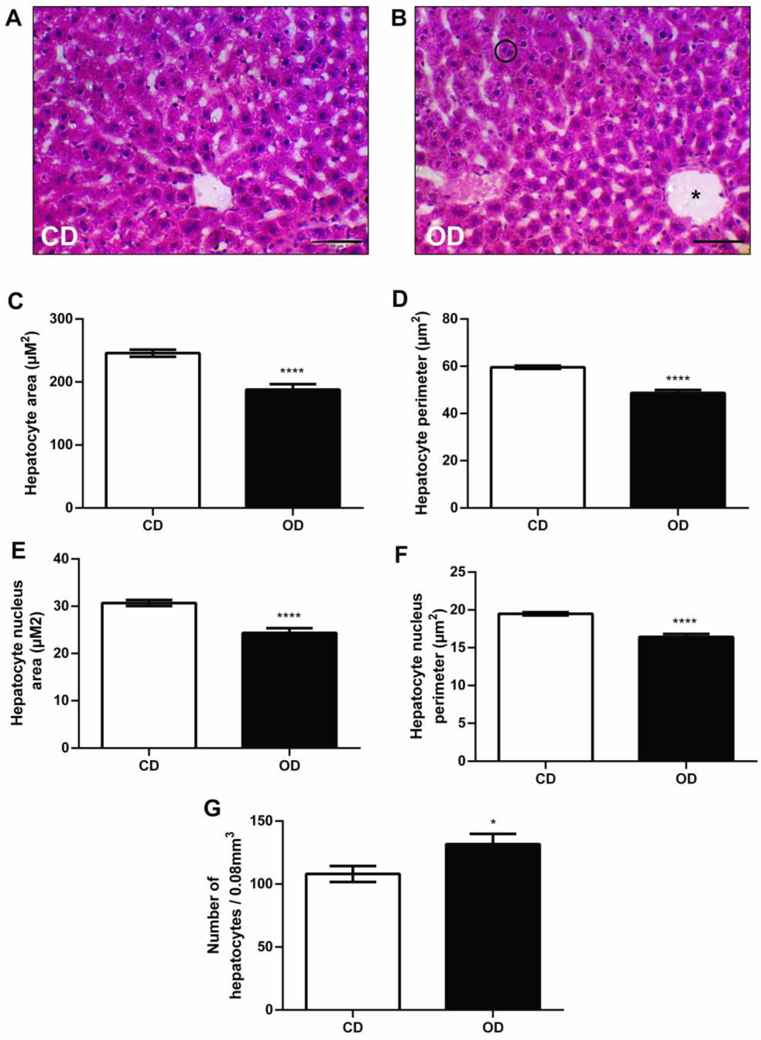 Nutrients 17 02219 g006