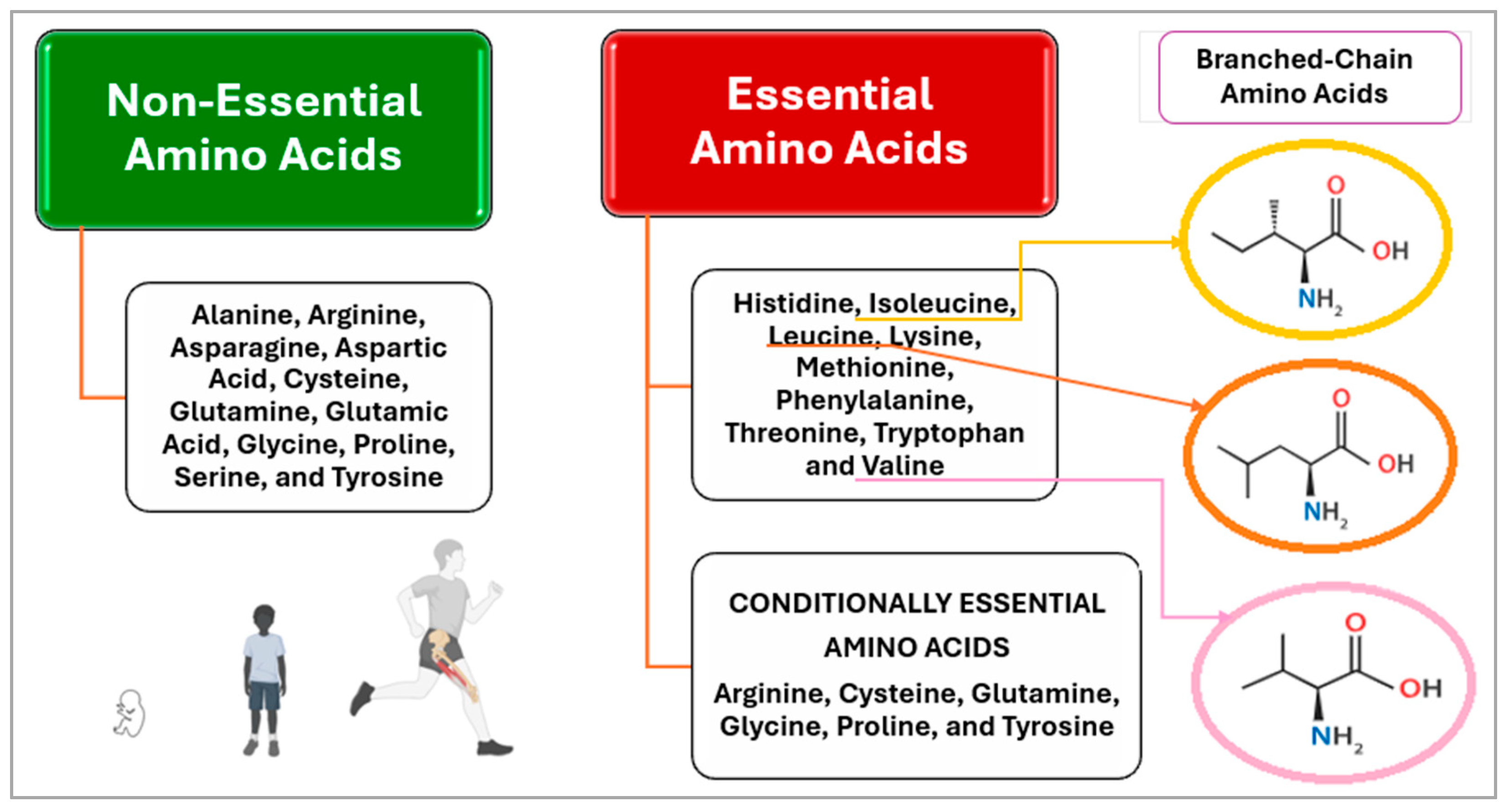 Nutrients 17 02221 g001