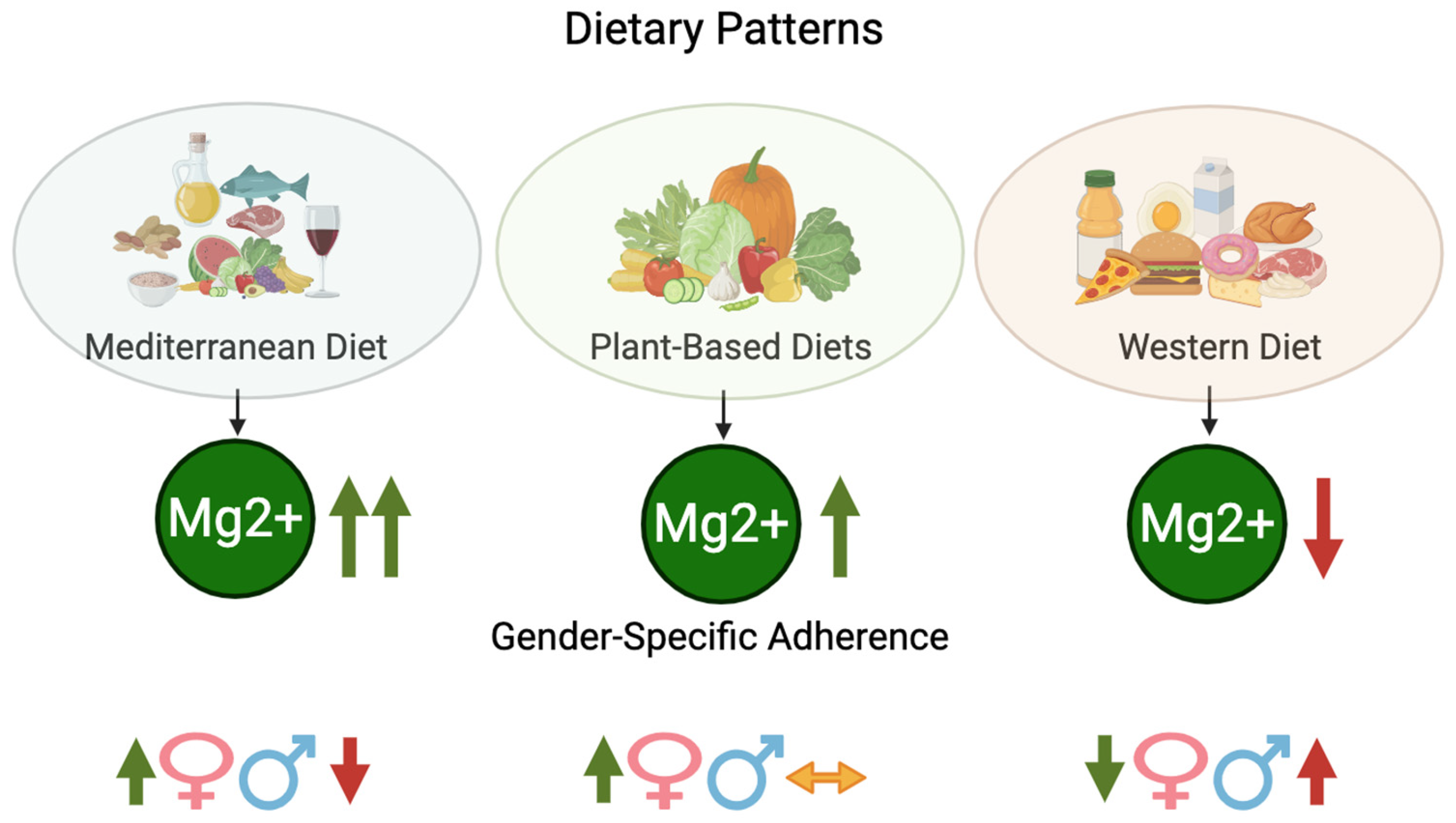 Nutrients 17 02226 g003