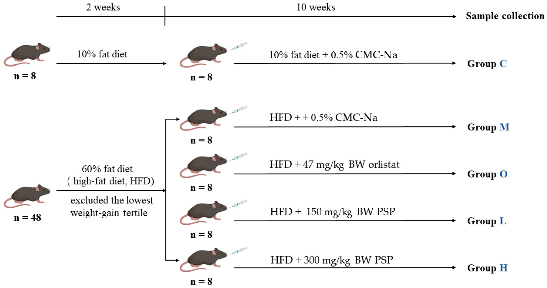 Nutrients 17 02228 g001