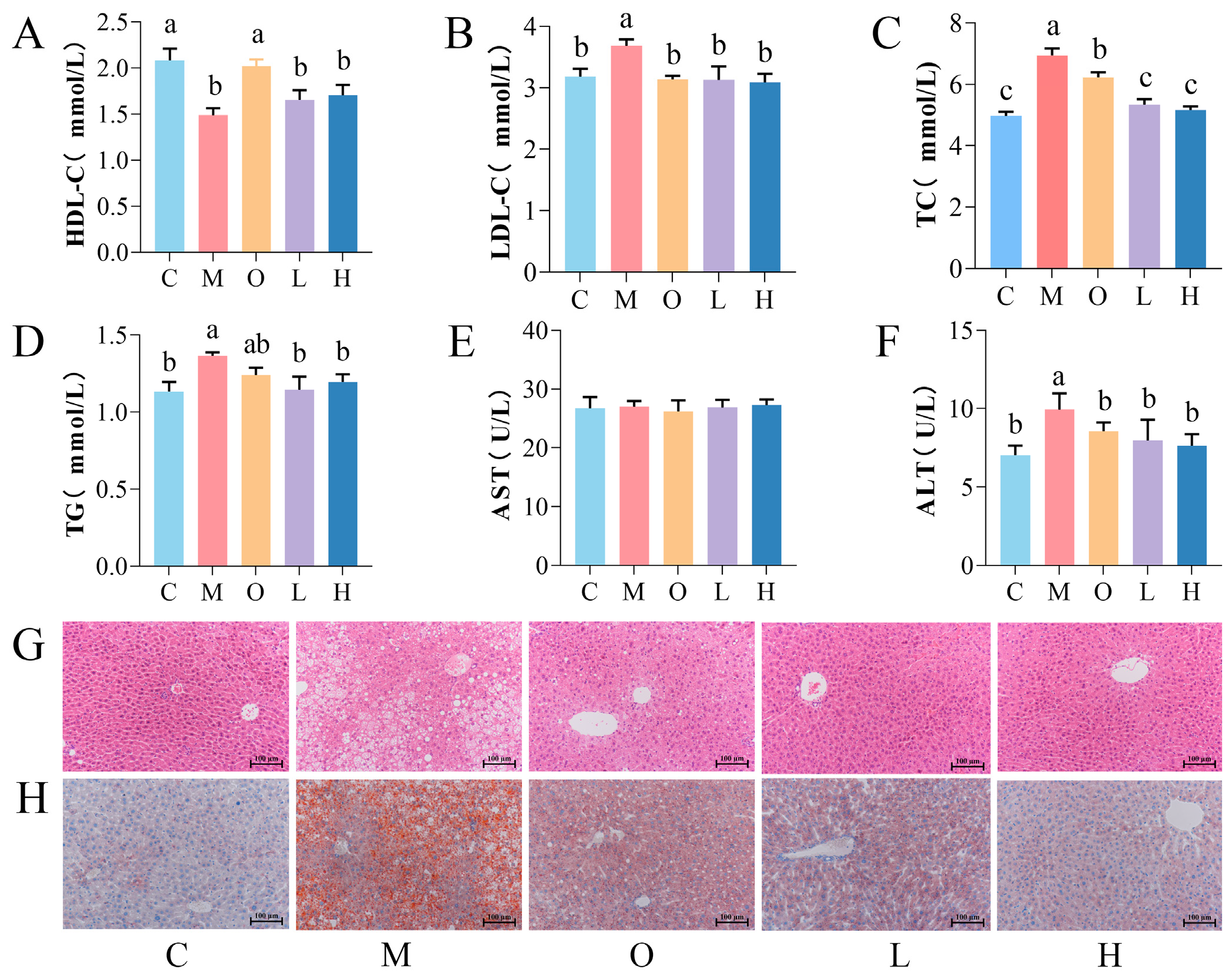 Nutrients 17 02228 g002