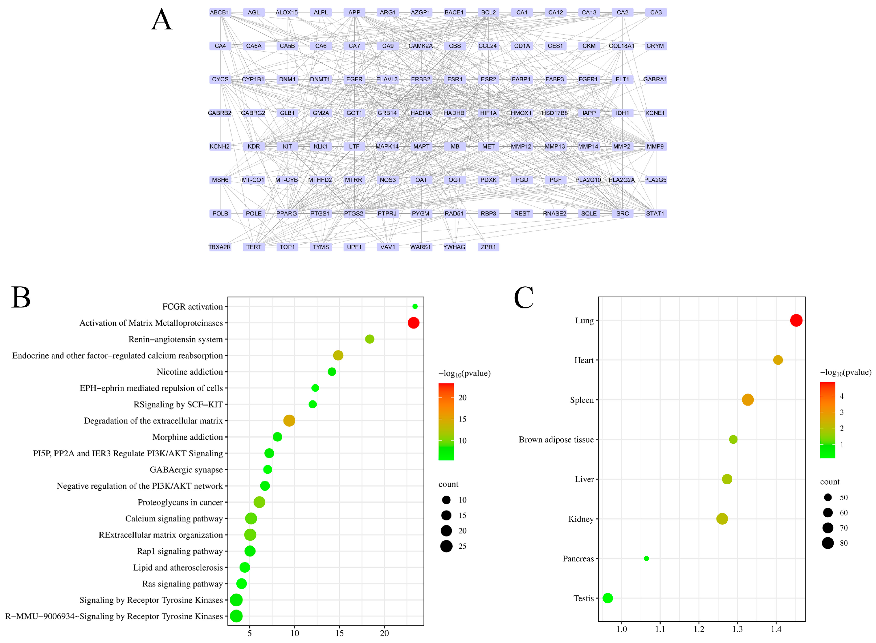 Nutrients 17 02228 g004