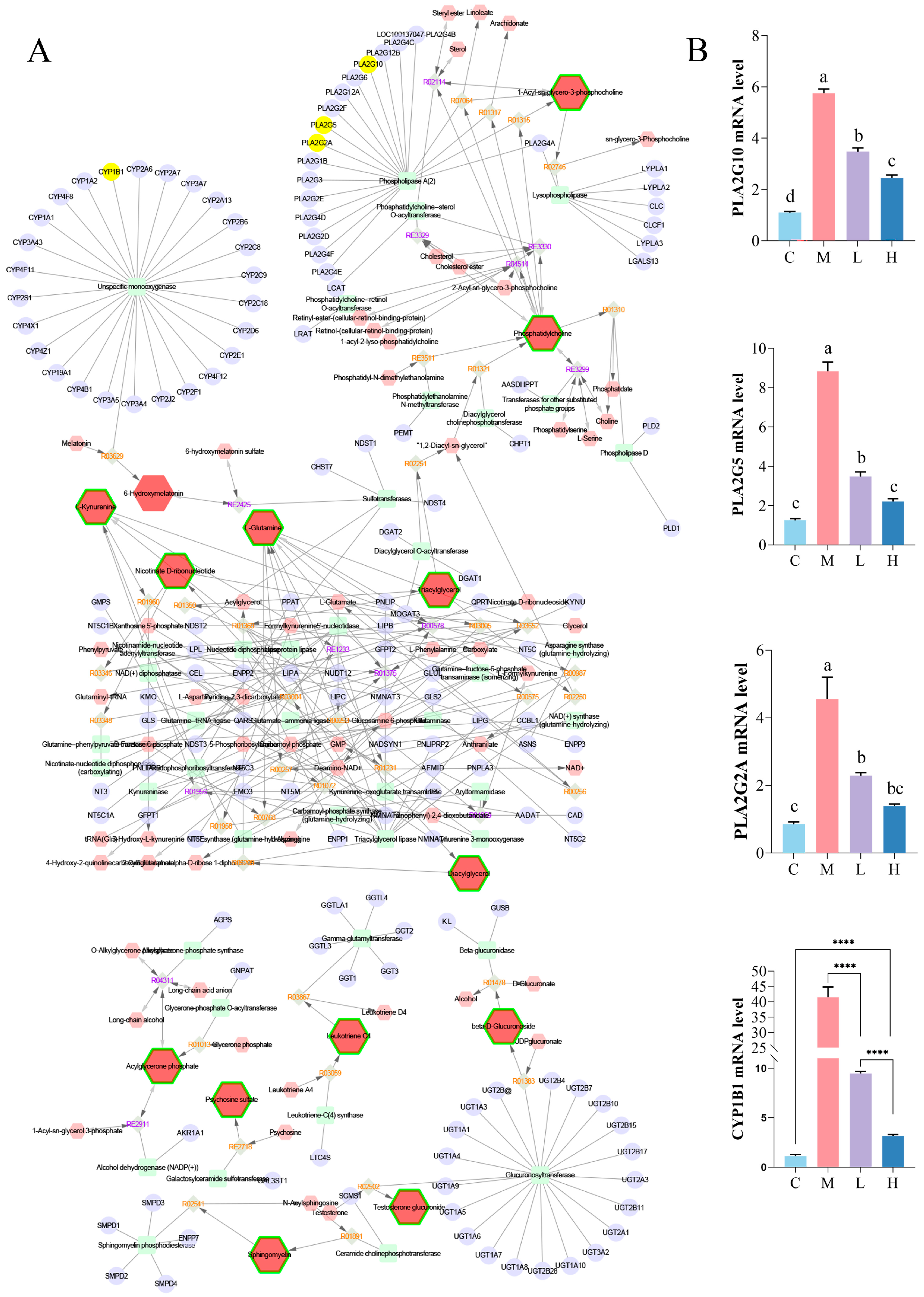 Nutrients 17 02228 g005