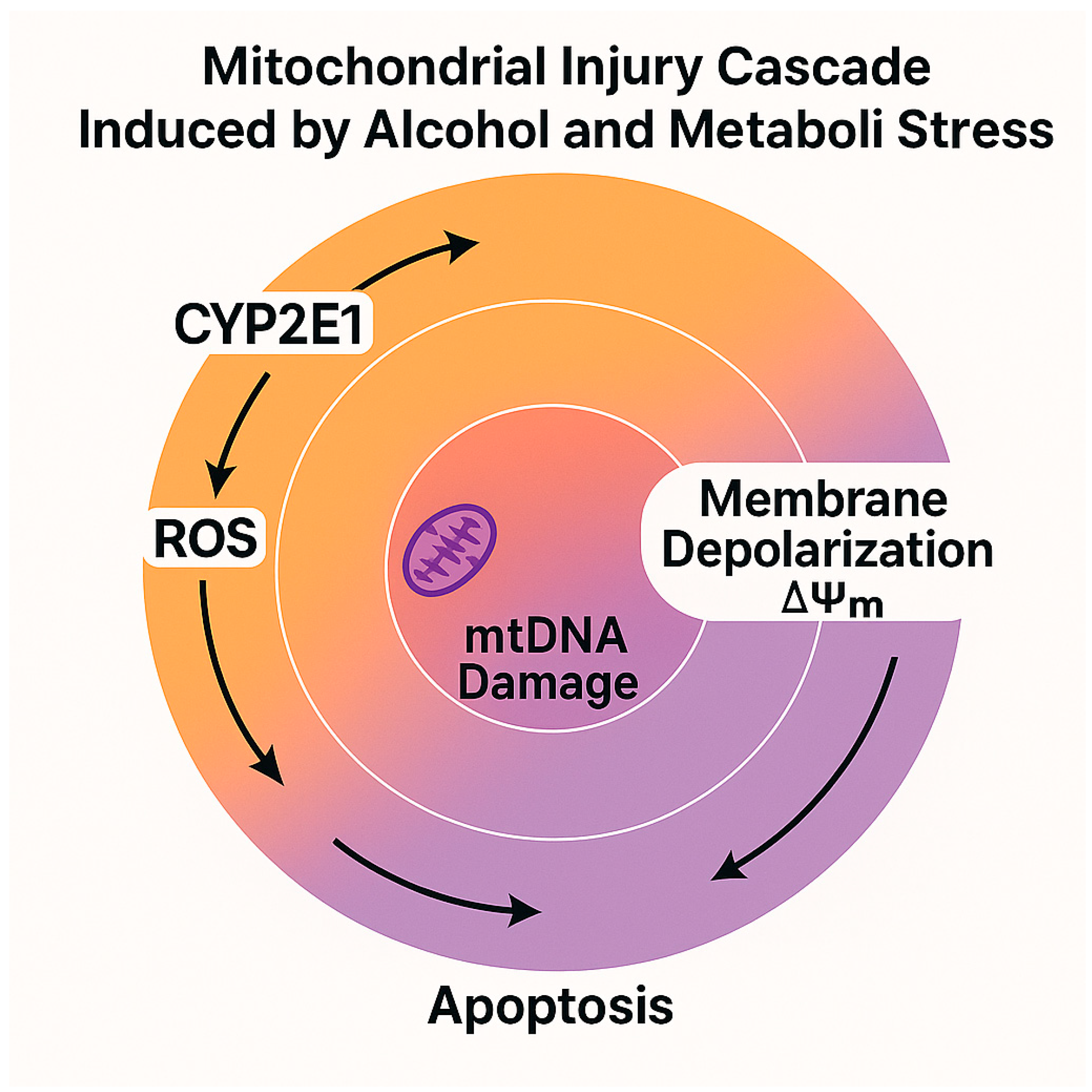 Nutrients 17 02229 g002