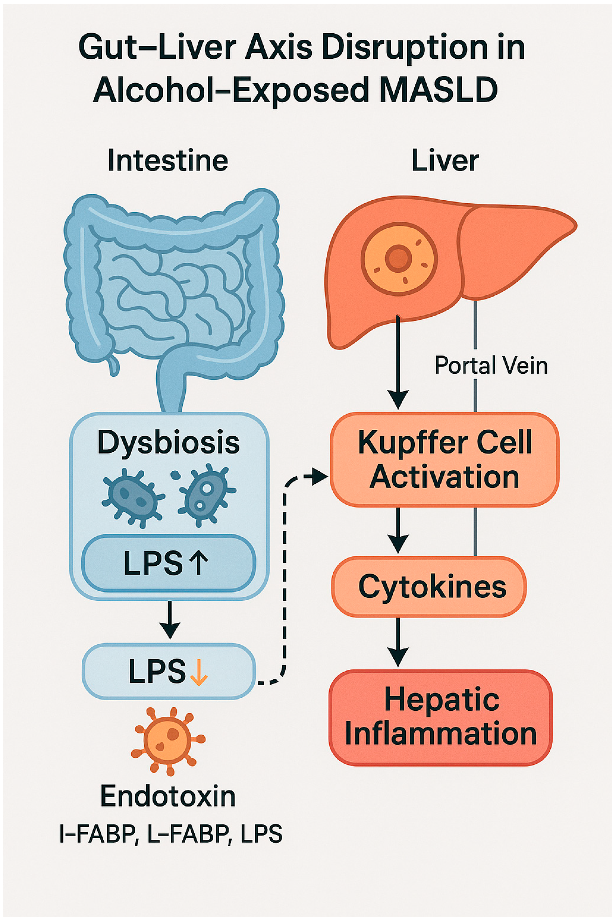 Nutrients 17 02229 g003