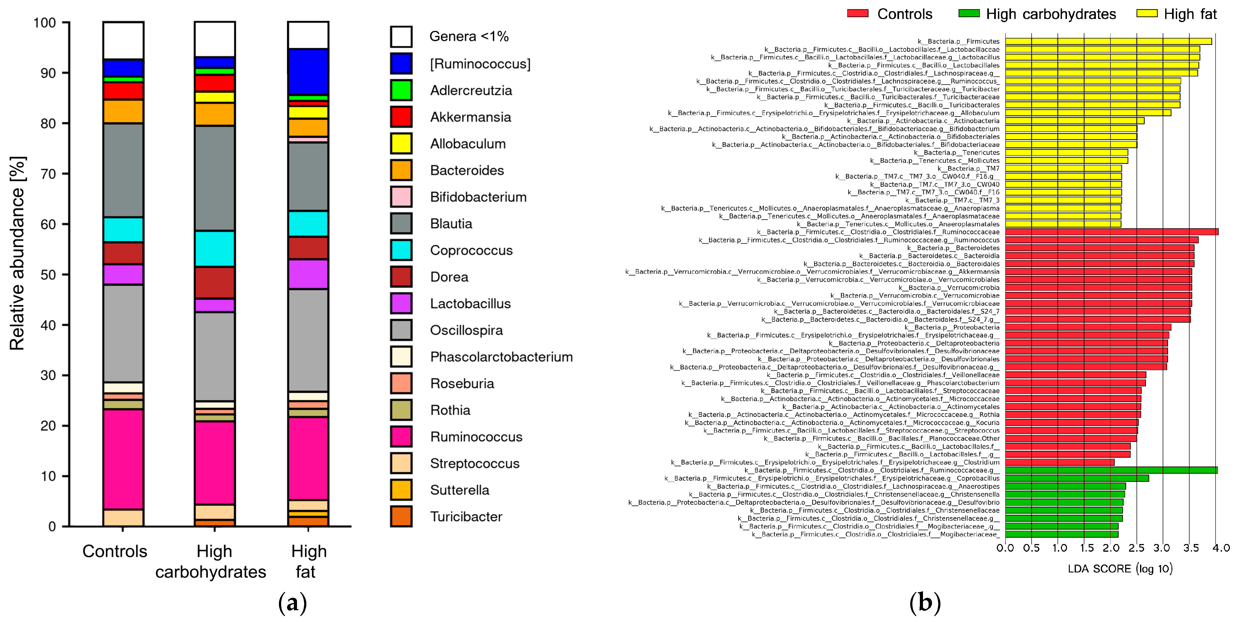 Nutrients 17 02230 g002