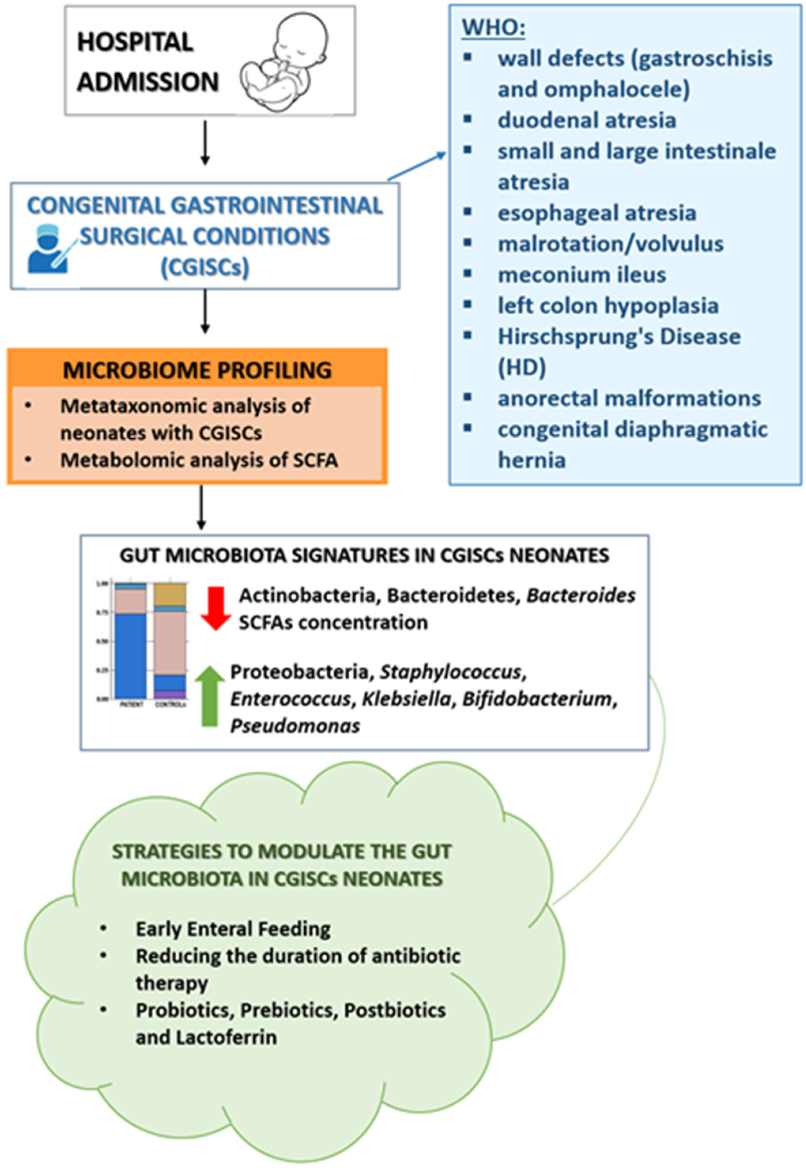 Nutrients 17 02234 g002