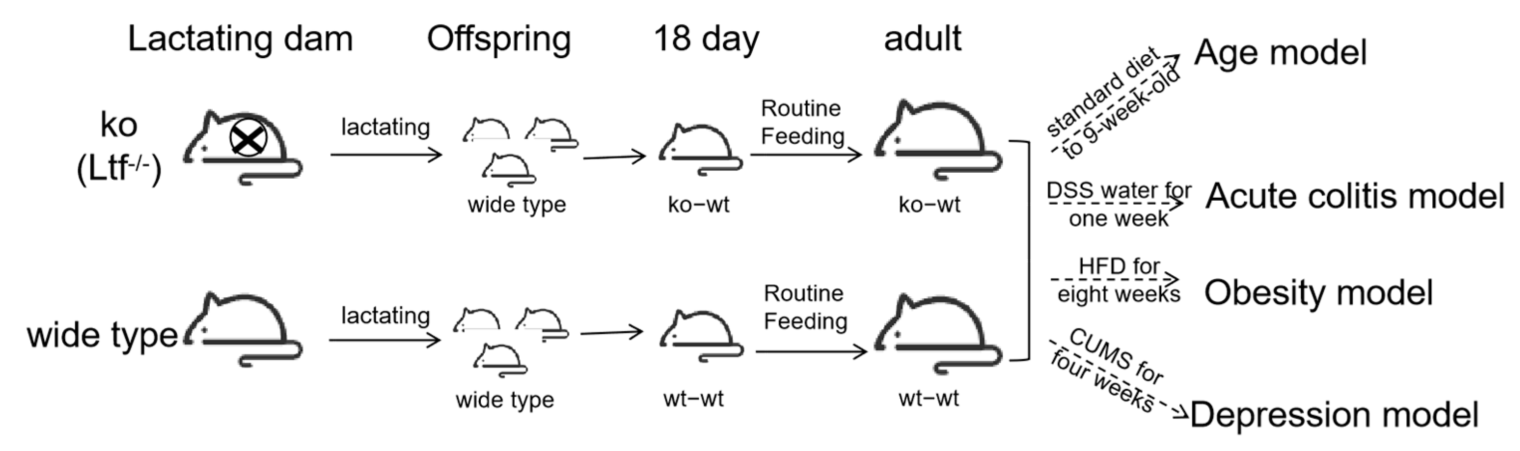 Nutrients 17 02248 g001