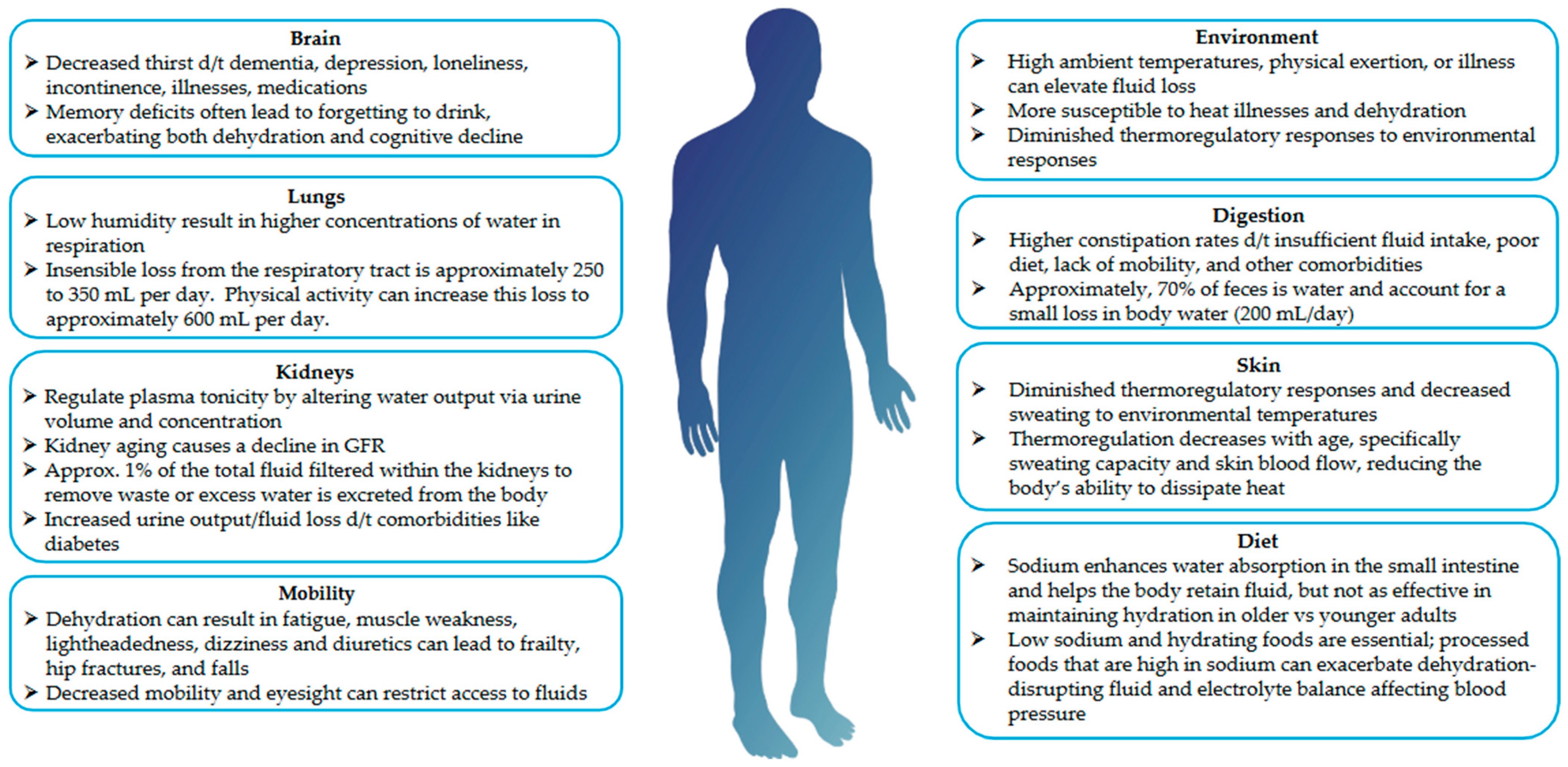 Nutrients 17 02256 g001