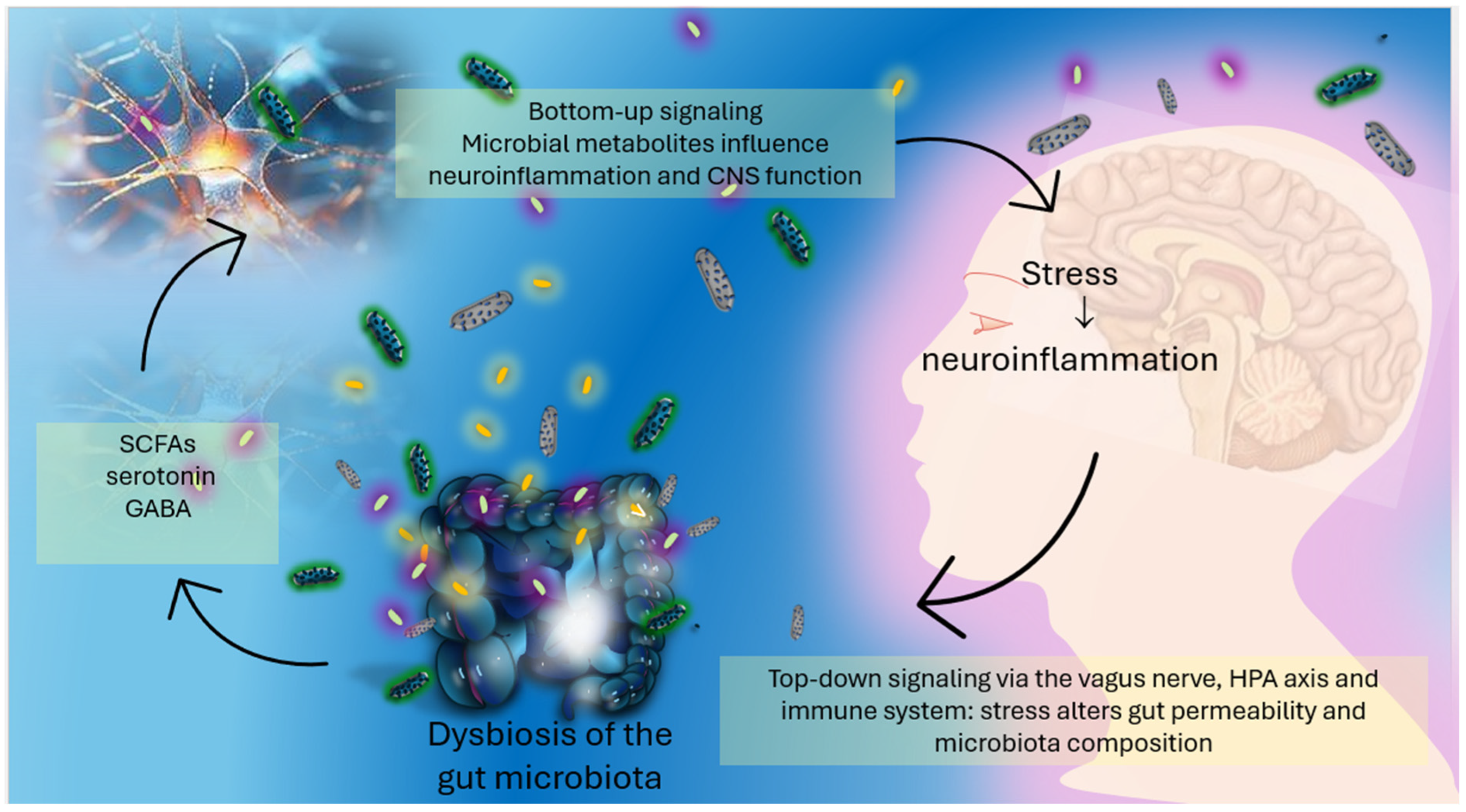 Nutrients 17 02261 g001