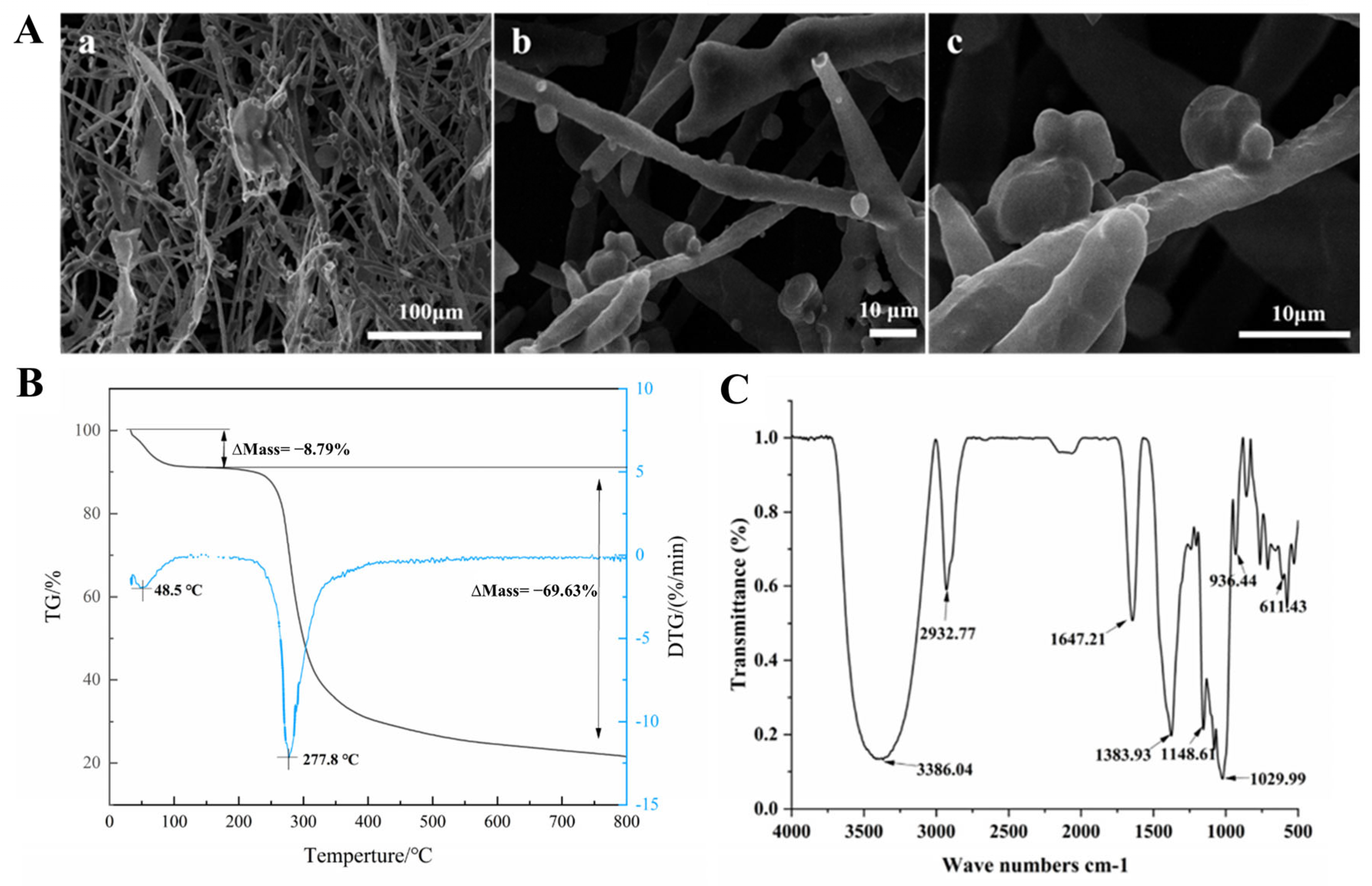 Nutrients 17 02265 g002