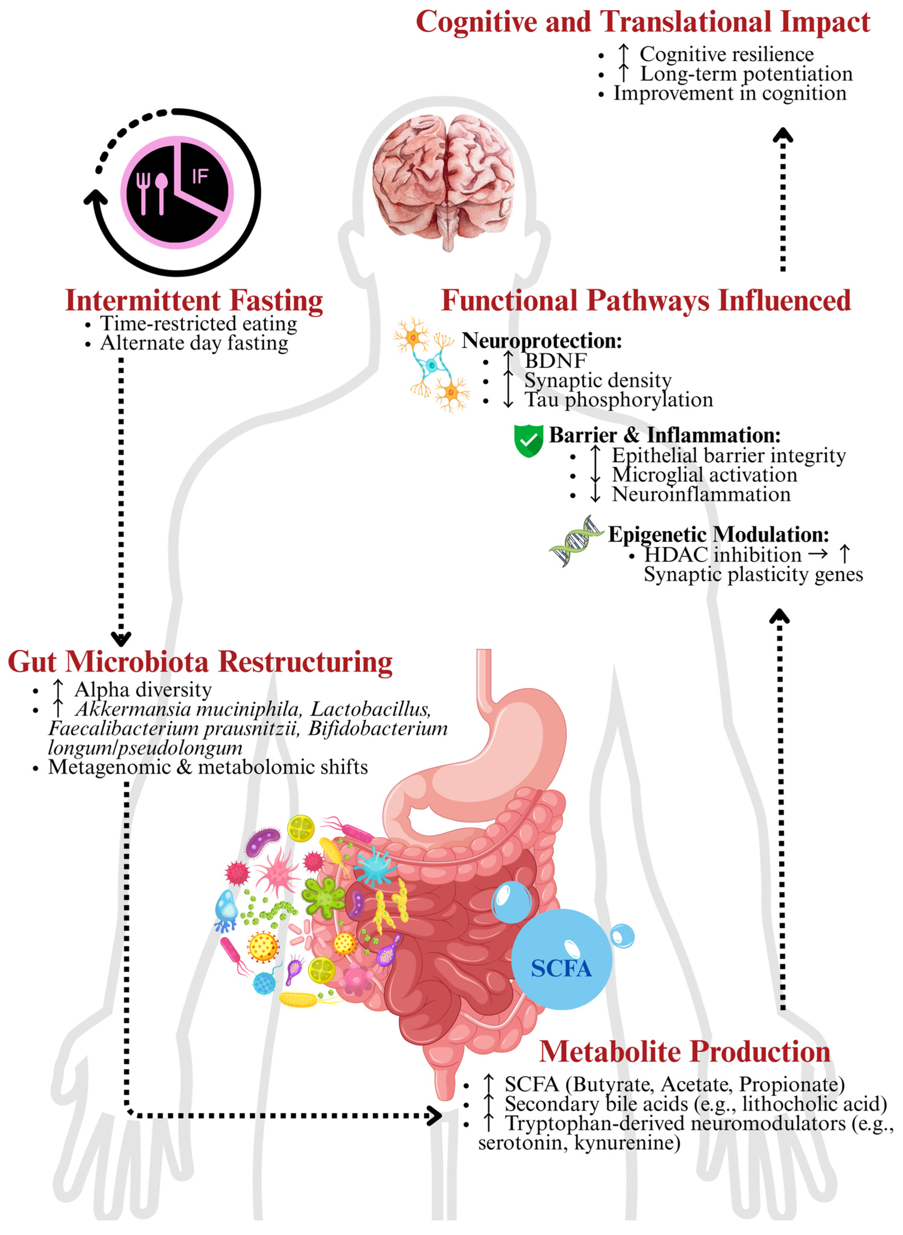 Nutrients 17 02266 g001