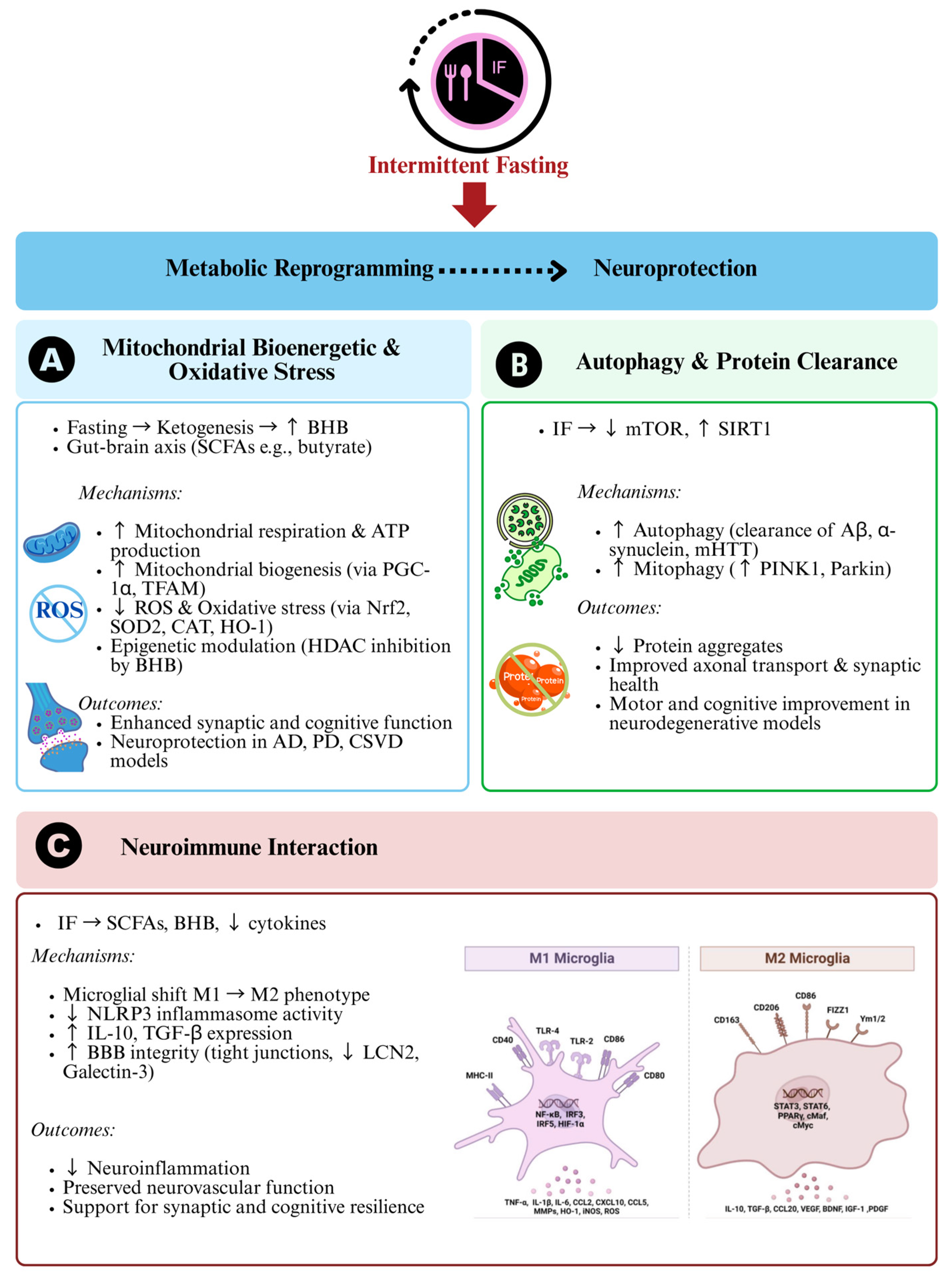 Nutrients 17 02266 g002