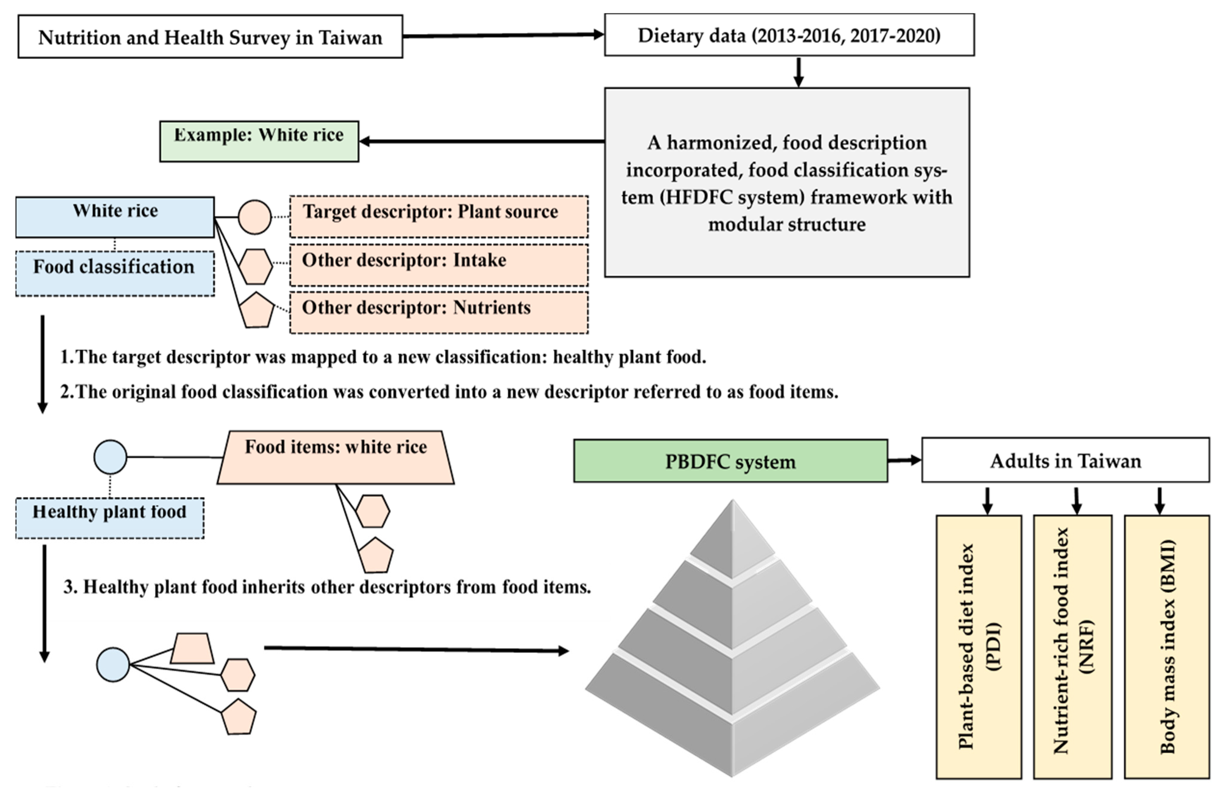 Nutrients 17 02268 g001