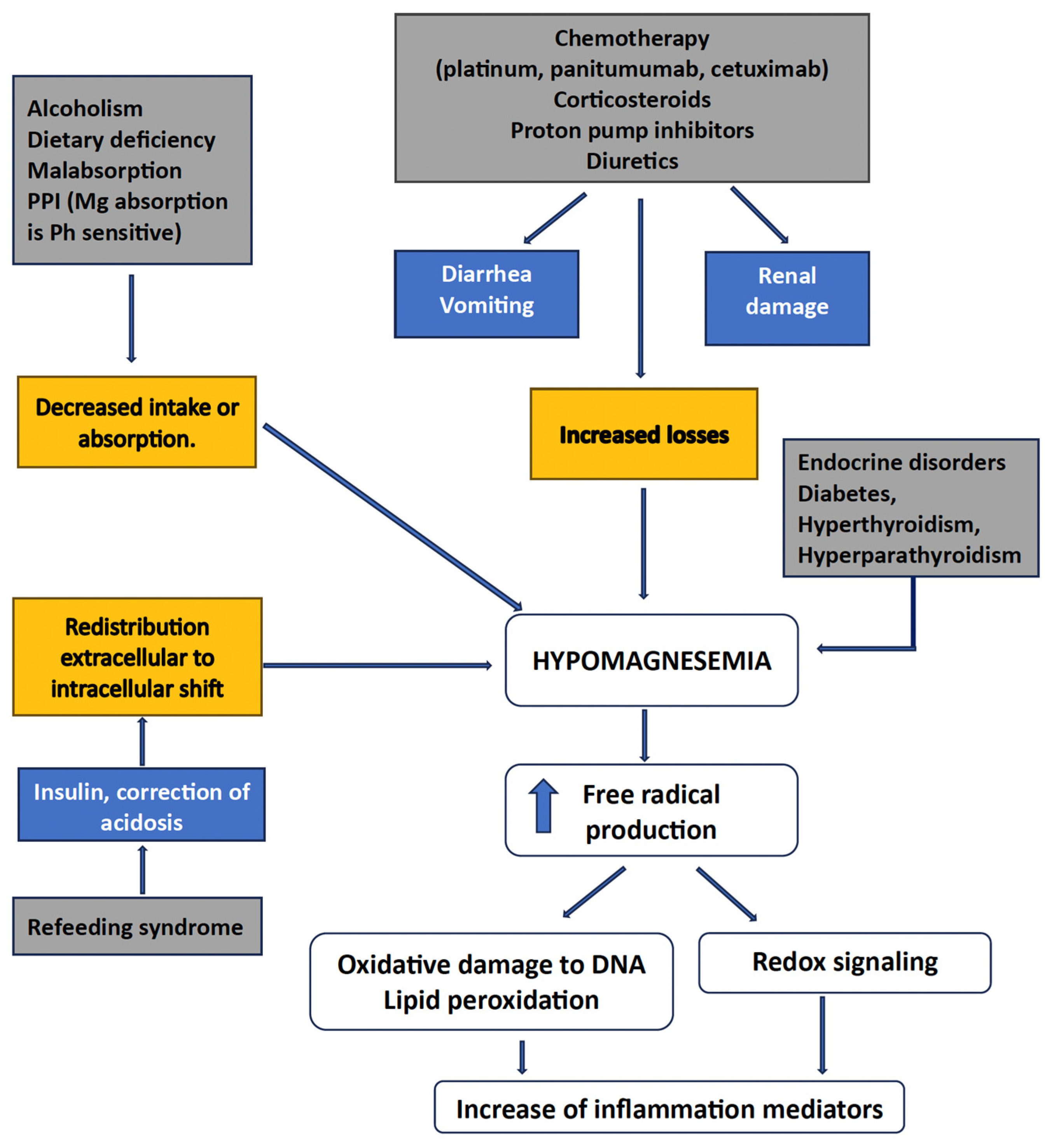 Nutrients 17 02272 g001